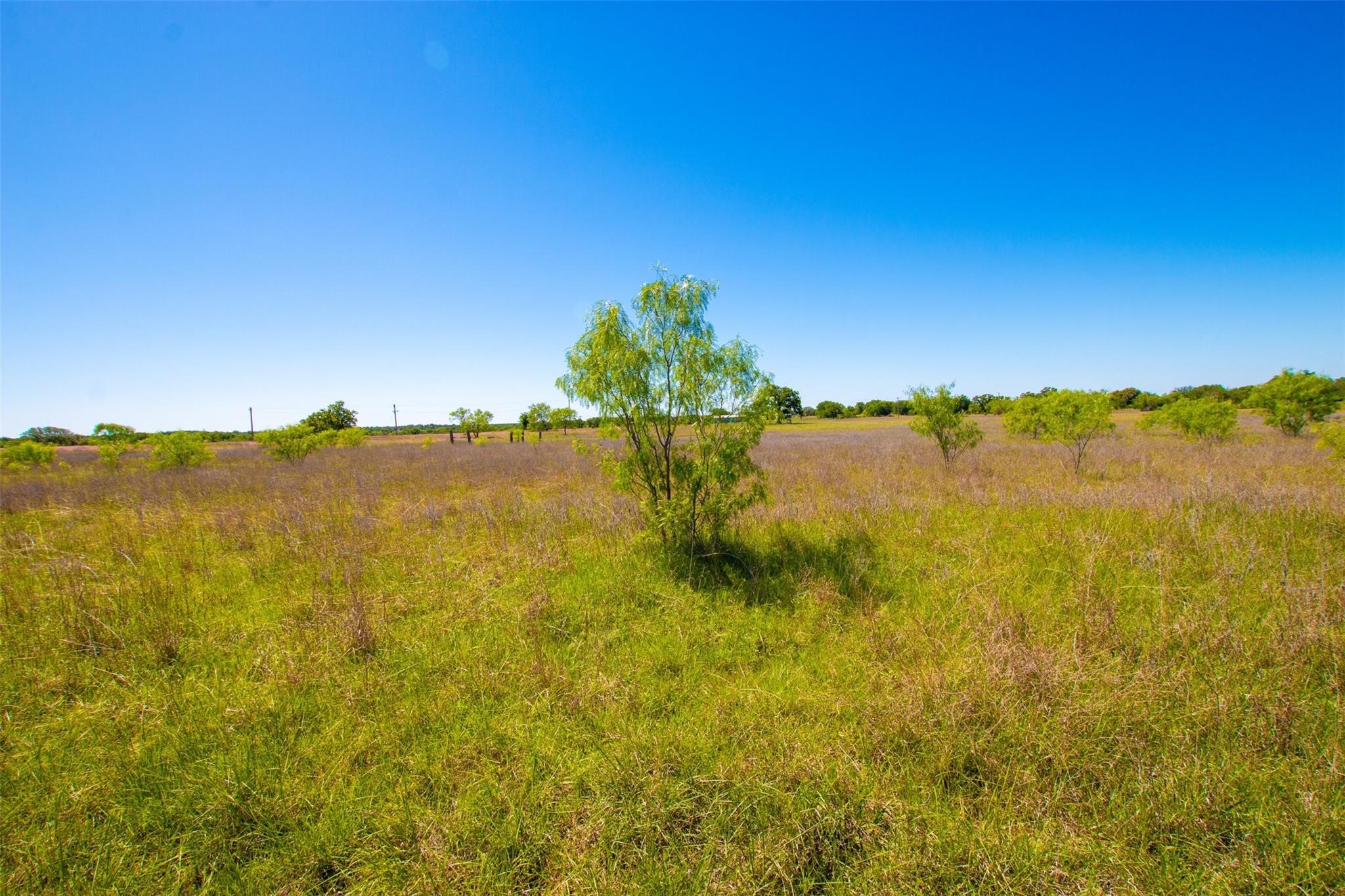Lot 101 New Hope Road Palo Pinto TX 76484