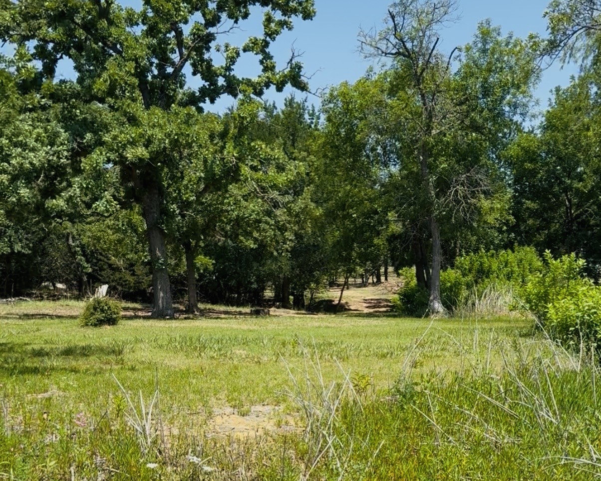 153 Catfish Trail Bowie TX 76230