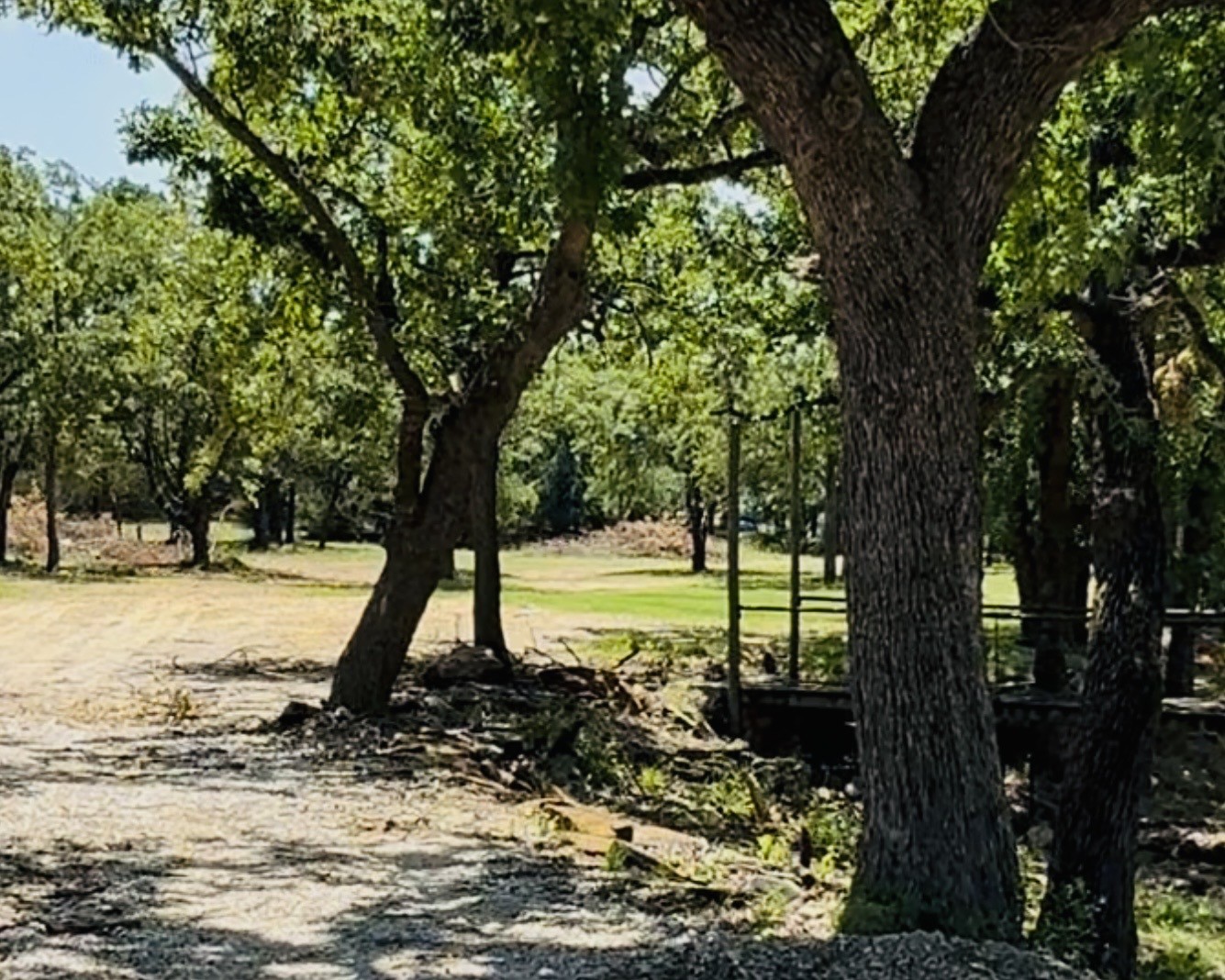 153 Catfish Trail Bowie TX 76230