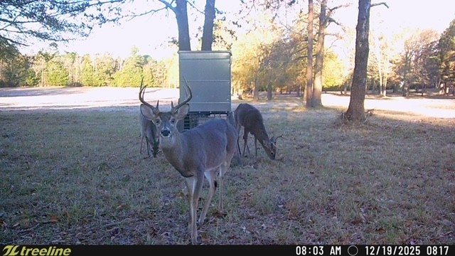 21022 Us Highway 271 Highway Gladewater TX 75647