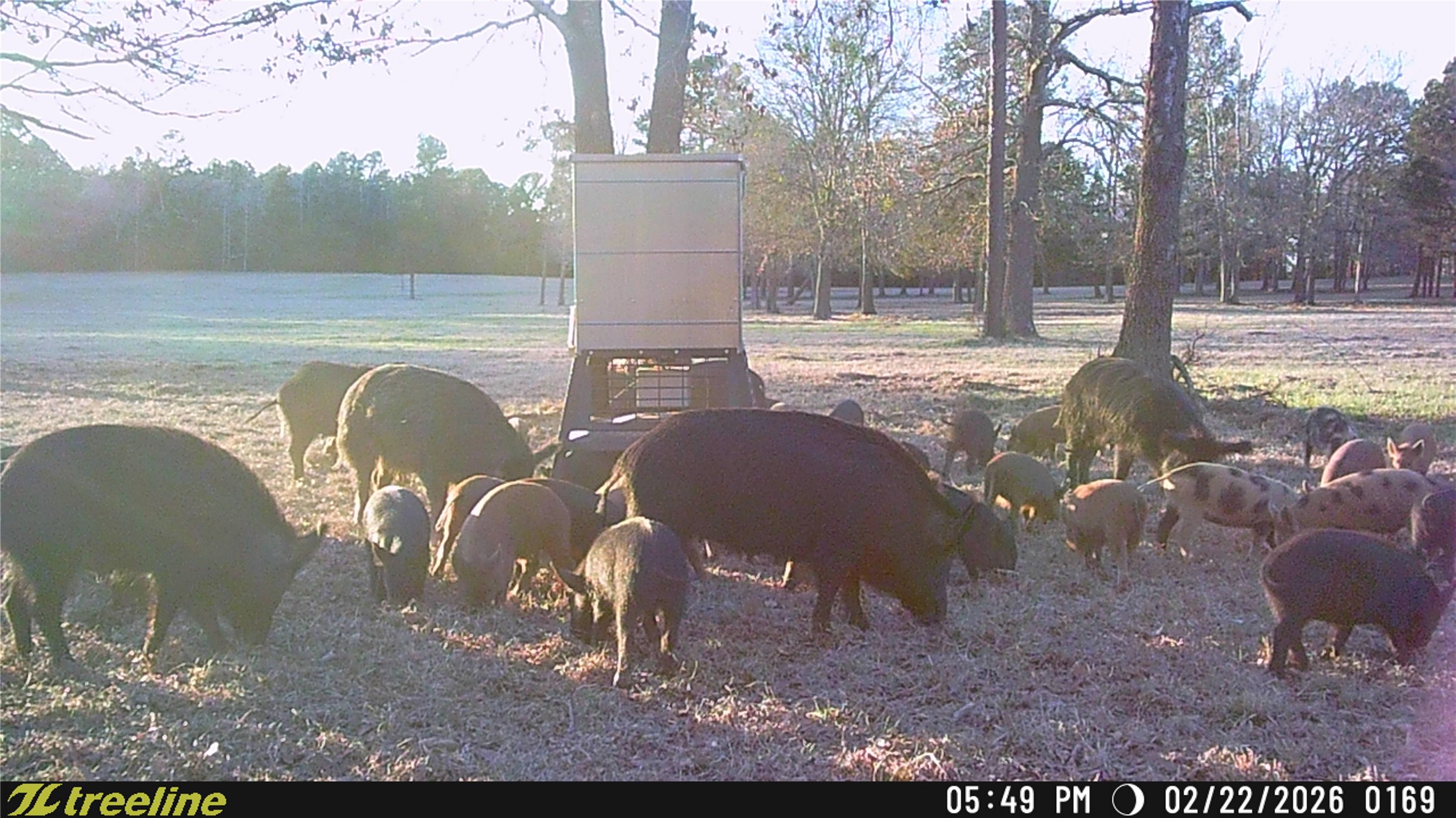 21022 Us Highway 271 Highway Gladewater TX 75647