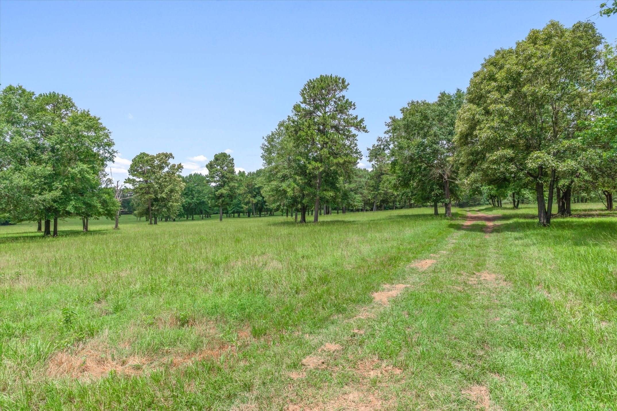 21022 Us Highway 271 Highway Gladewater TX 75647