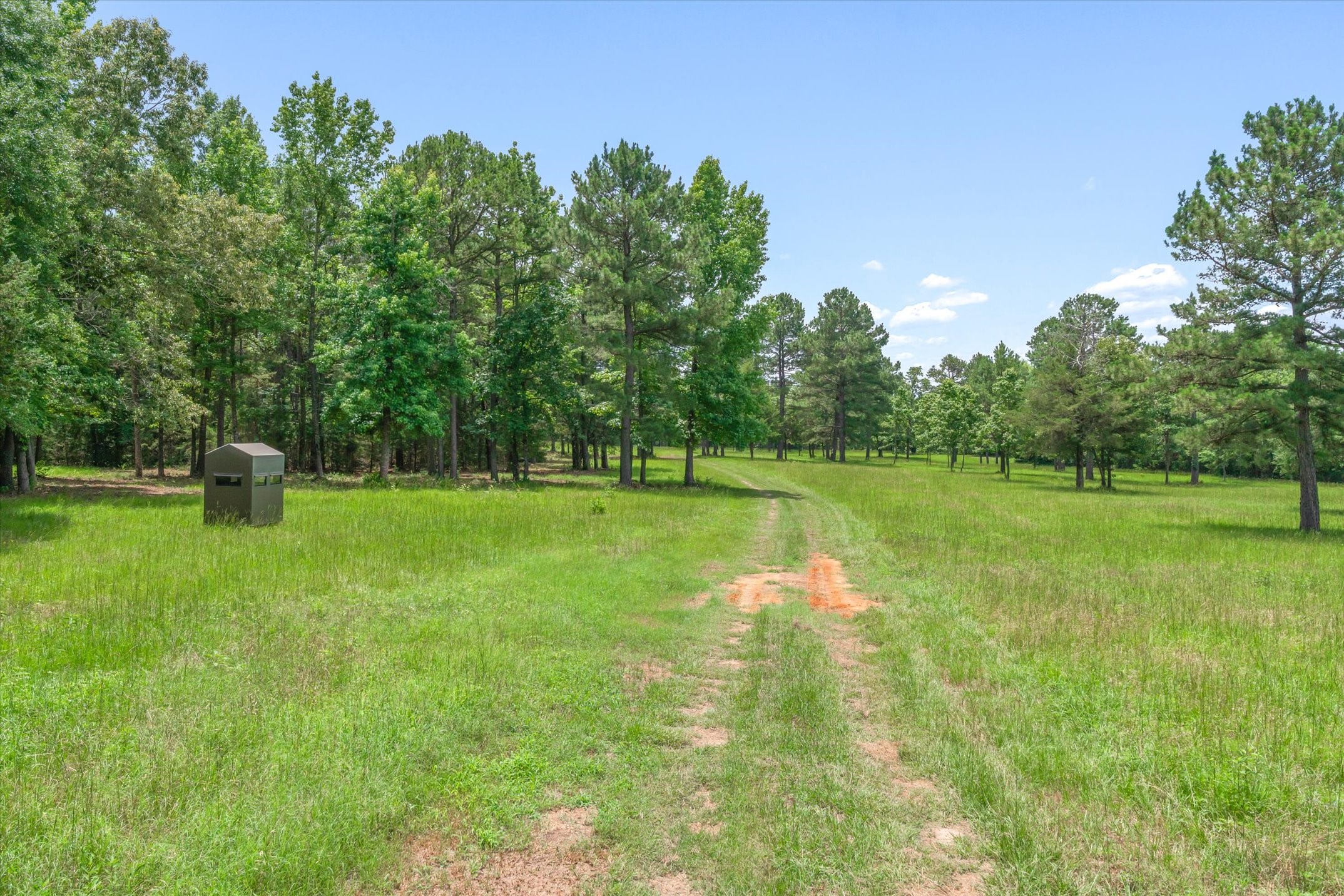21022 Us Highway 271 Highway Gladewater TX 75647