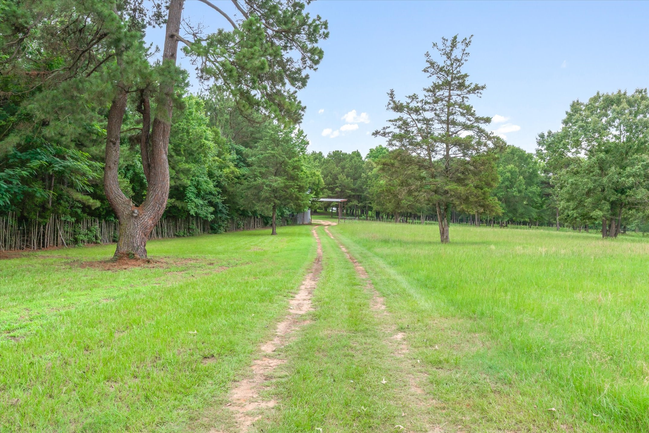 21022 Us Highway 271 Highway Gladewater TX 75647