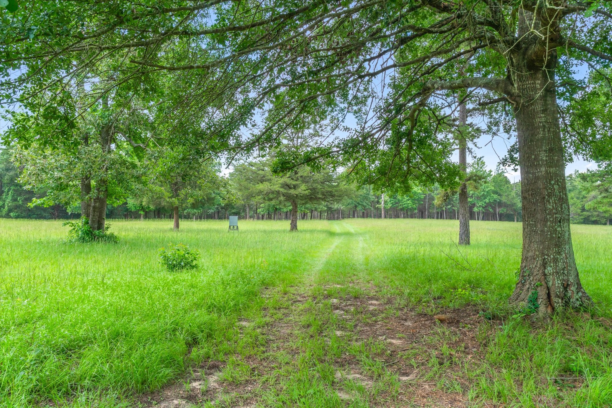 21022 Us Highway 271 Highway Gladewater TX 75647