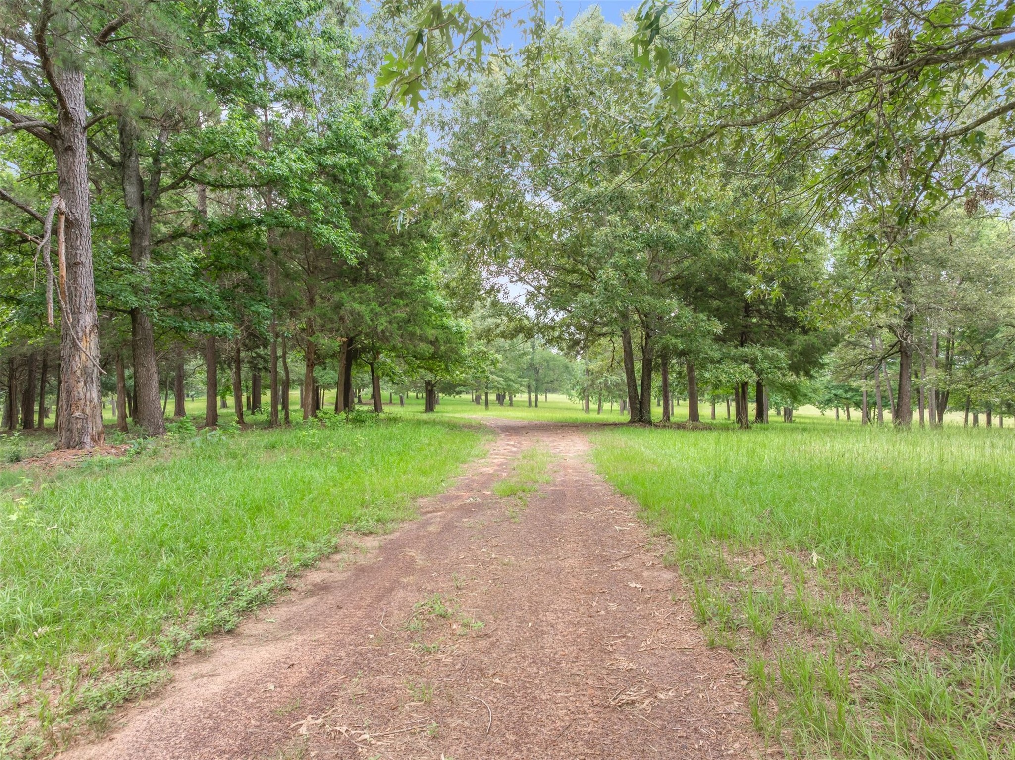 21022 Us Highway 271 Highway Gladewater TX 75647