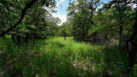 169 Post Oak Cove Sunset TX 76270