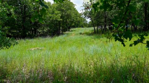 169 Post Oak Cove Sunset TX 76270