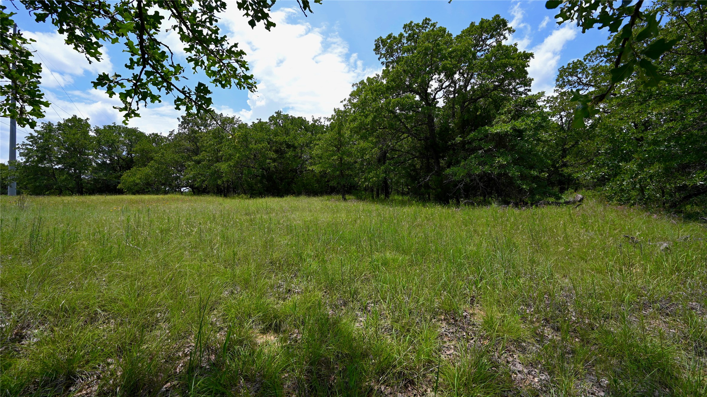 169 Post Oak Cove Sunset TX 76270