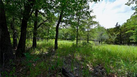 169 Post Oak Cove Sunset TX 76270