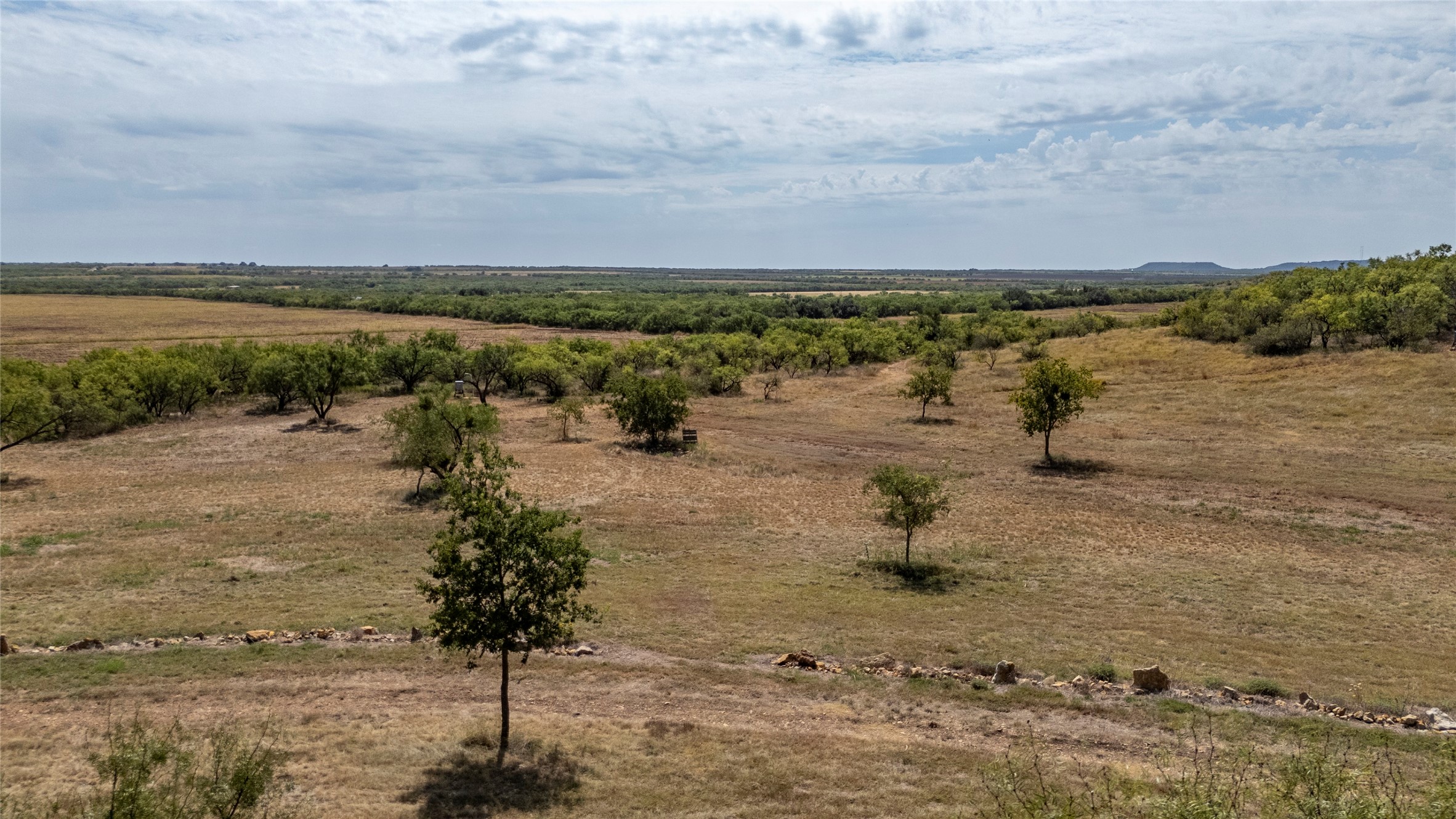 2138 Fm 568 Coleman TX 76834