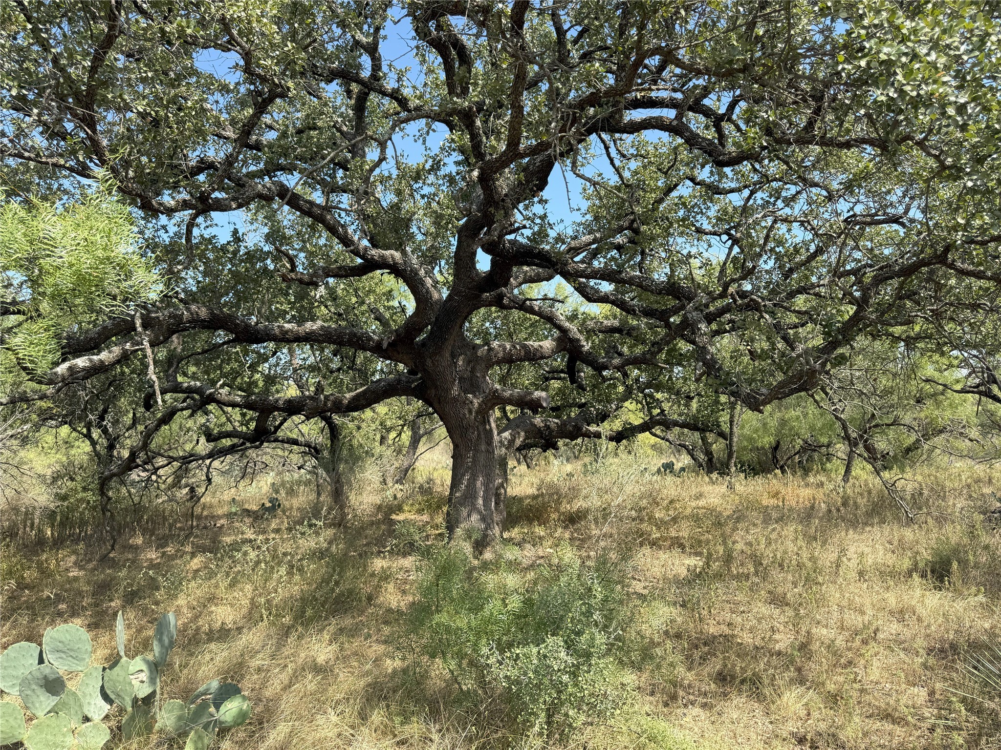 2138 Fm 568 Coleman TX 76834