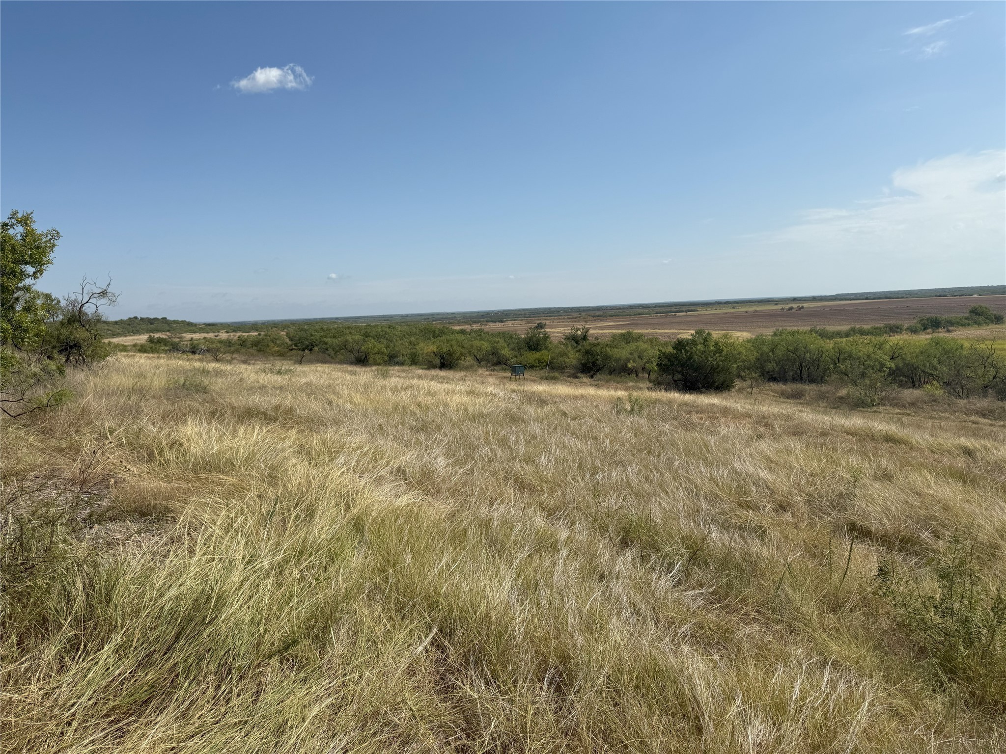 2138 Fm 568 Coleman TX 76834