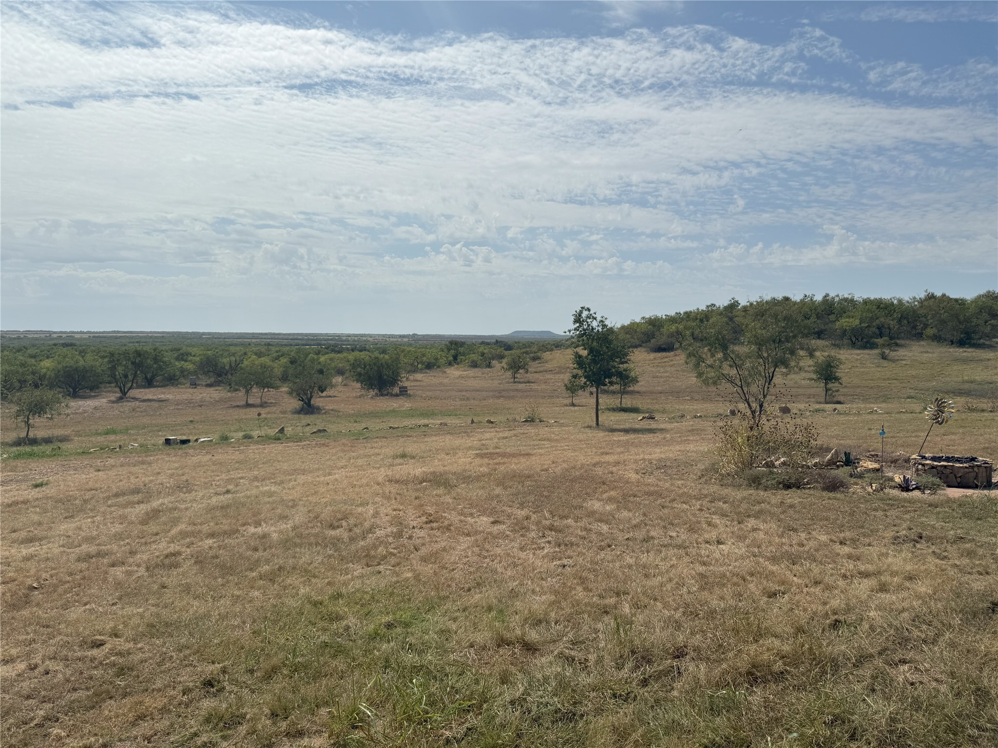 2138 Fm 568 Coleman TX 76834