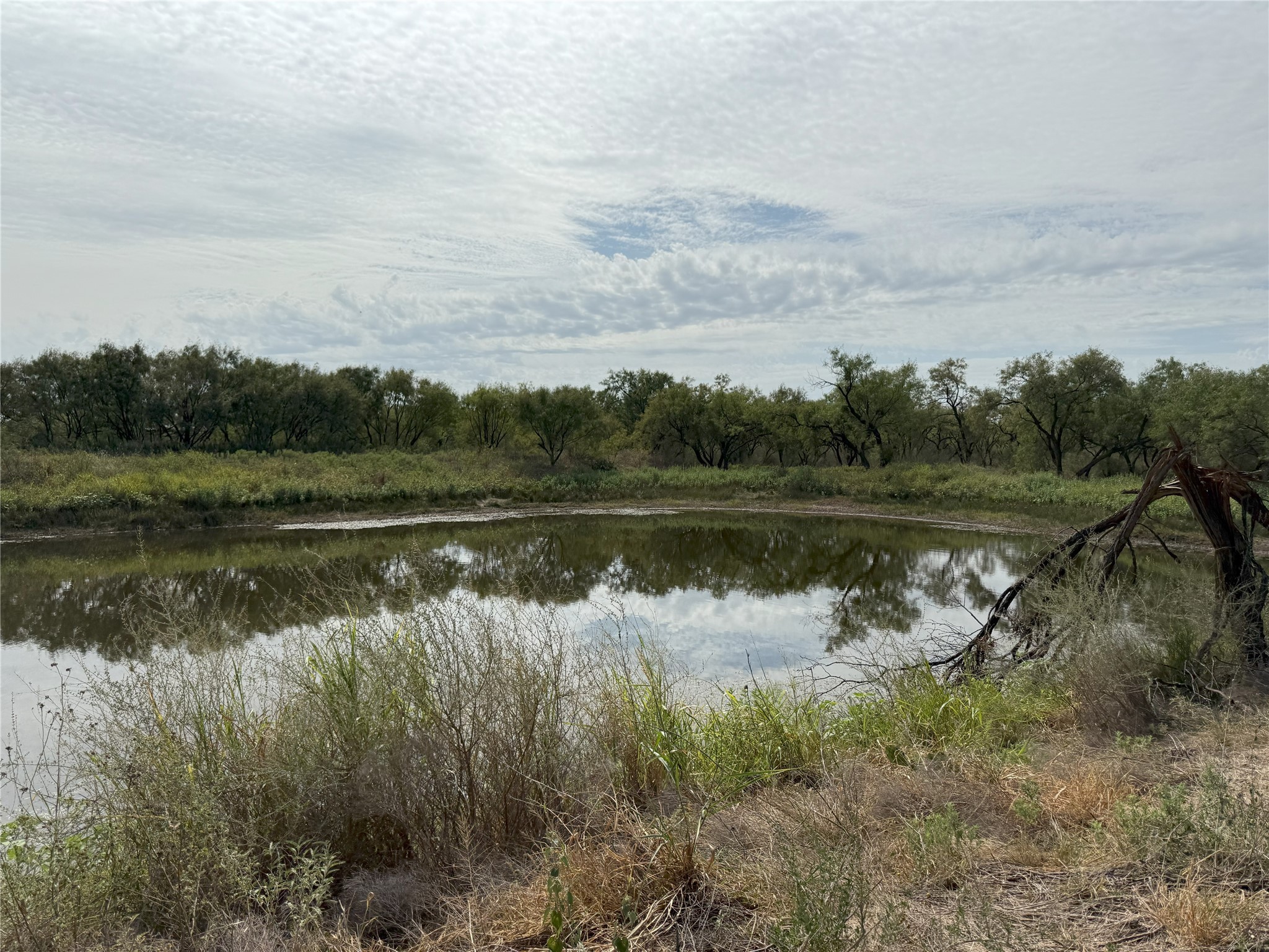 2138 Fm 568 Coleman TX 76834