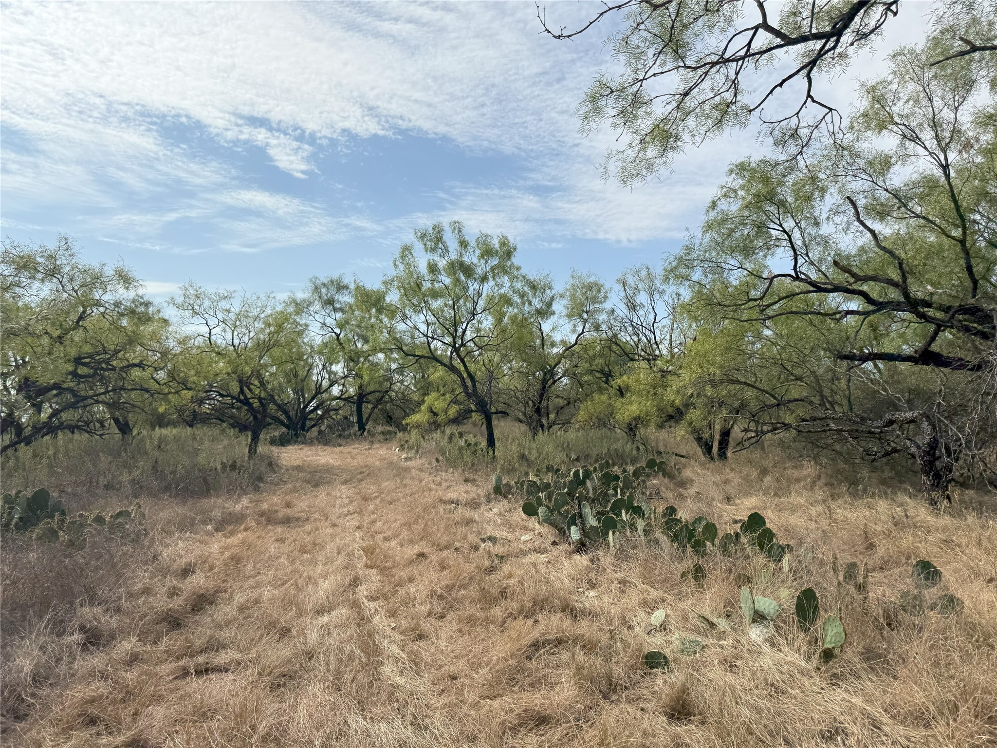 2138 Fm 568 Coleman TX 76834