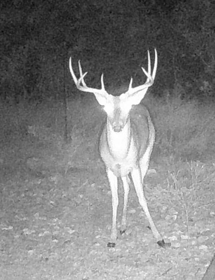 2138 Fm 568 Coleman TX 76834