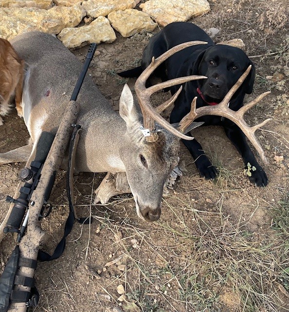 2138 Fm 568 Coleman TX 76834