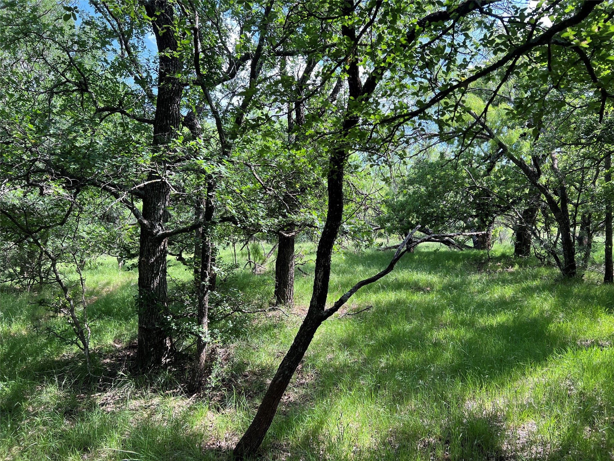 137 Creek Cisco TX 76437