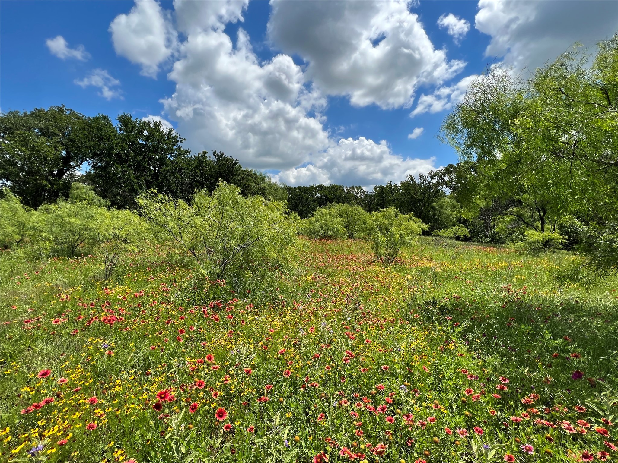 137 Creek Cisco TX 76437