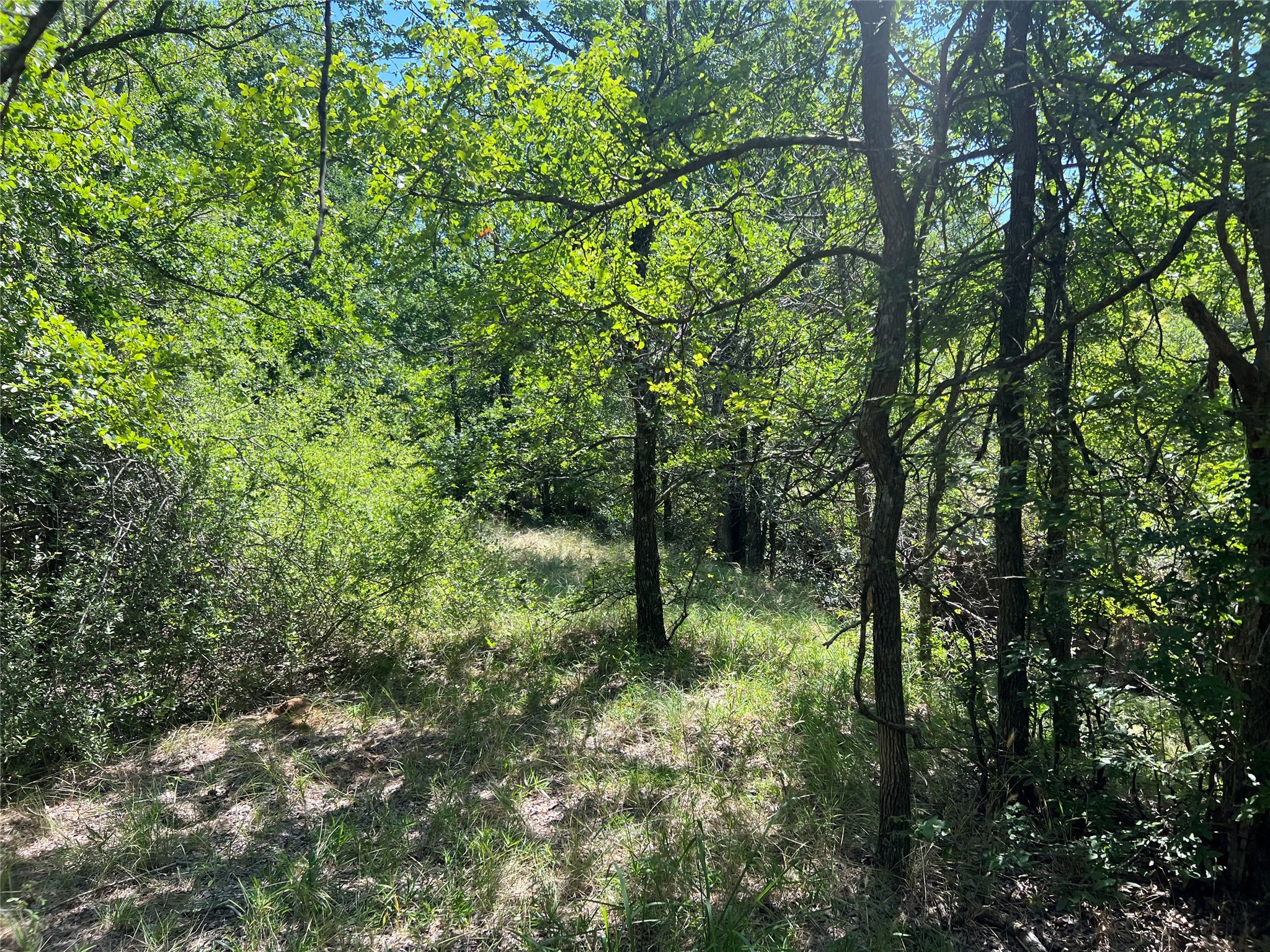 137 Creek Cisco TX 76437