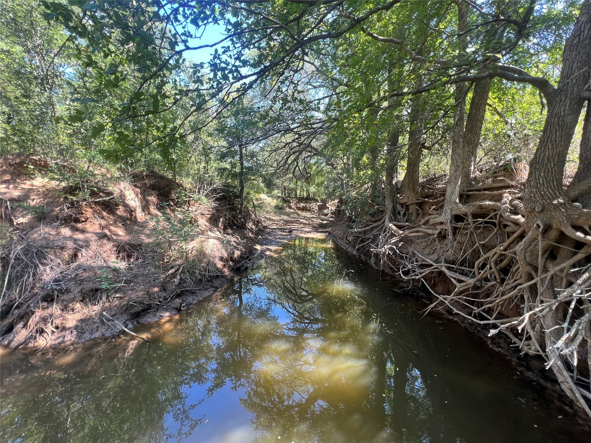 137 Creek Cisco TX 76437