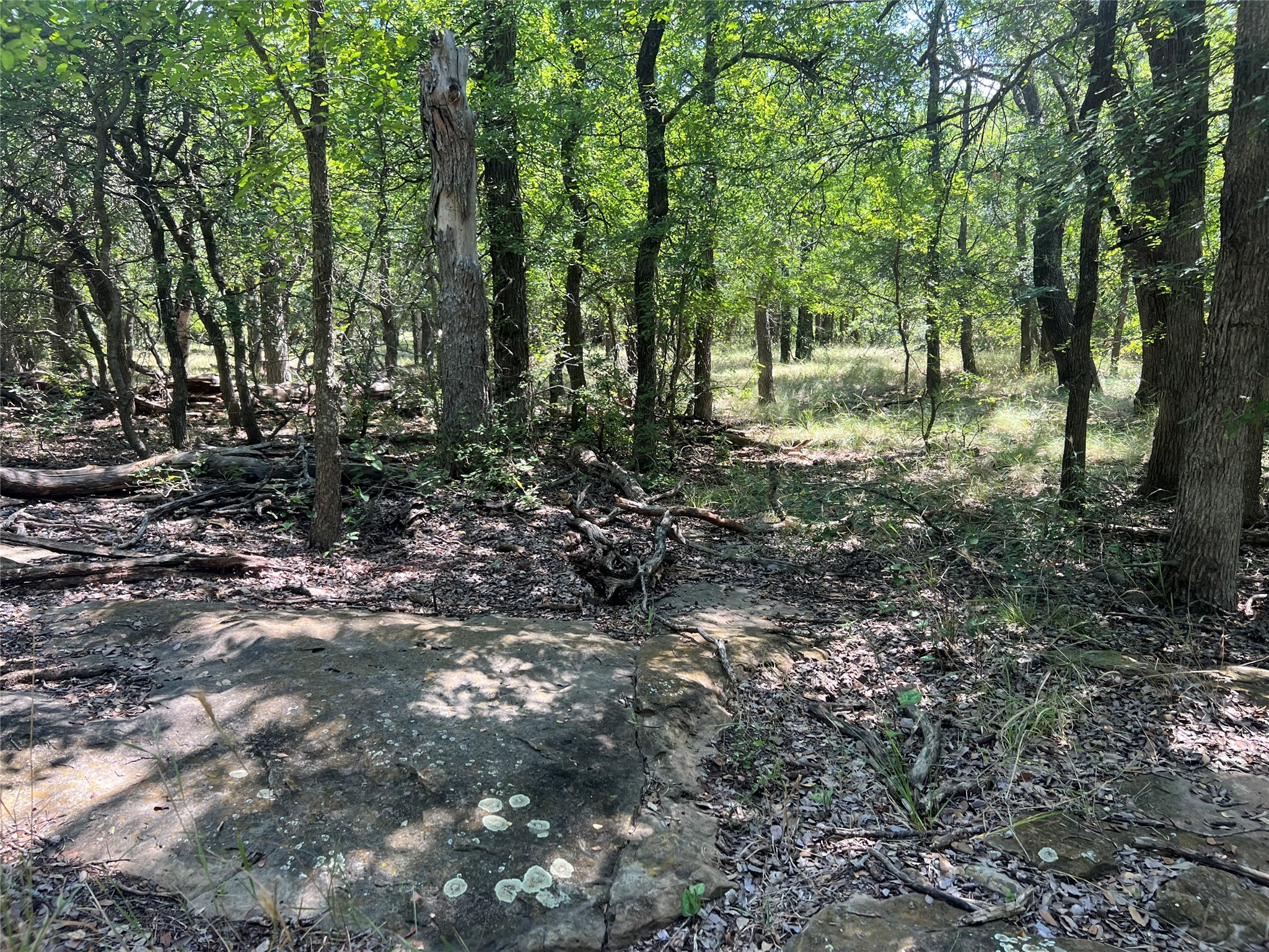137 Creek Cisco TX 76437