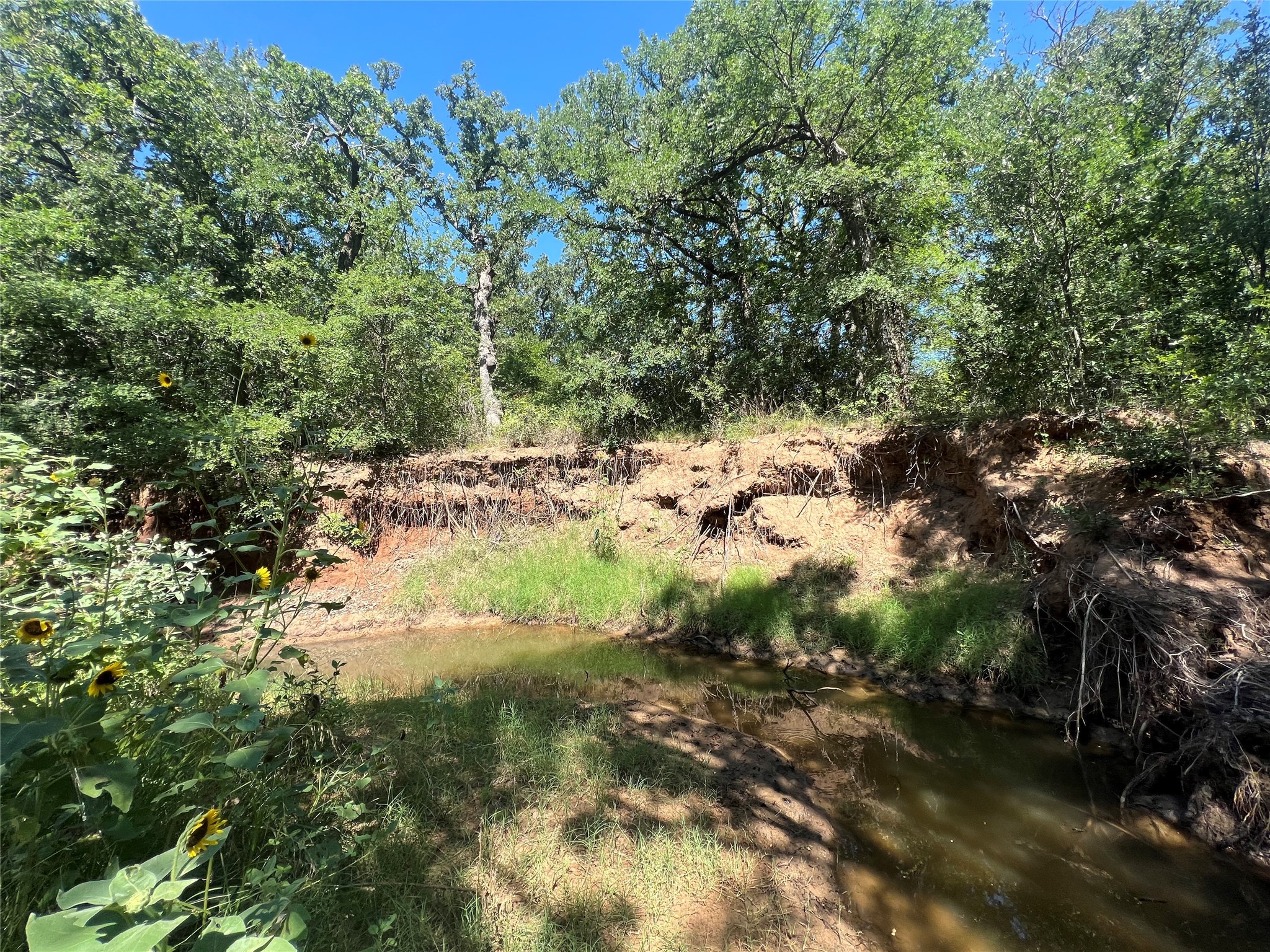 137 Creek Cisco TX 76437