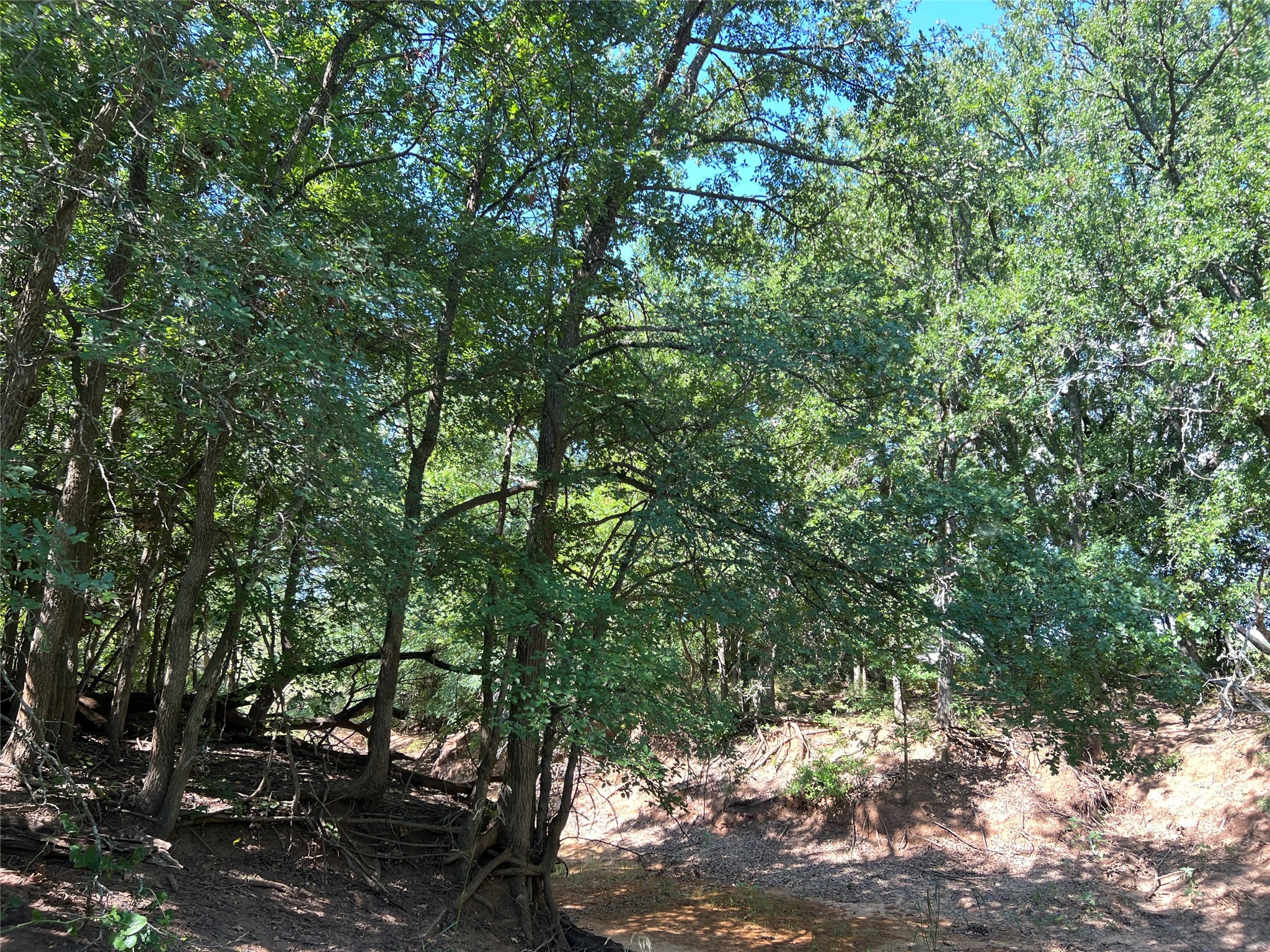 137 Creek Cisco TX 76437