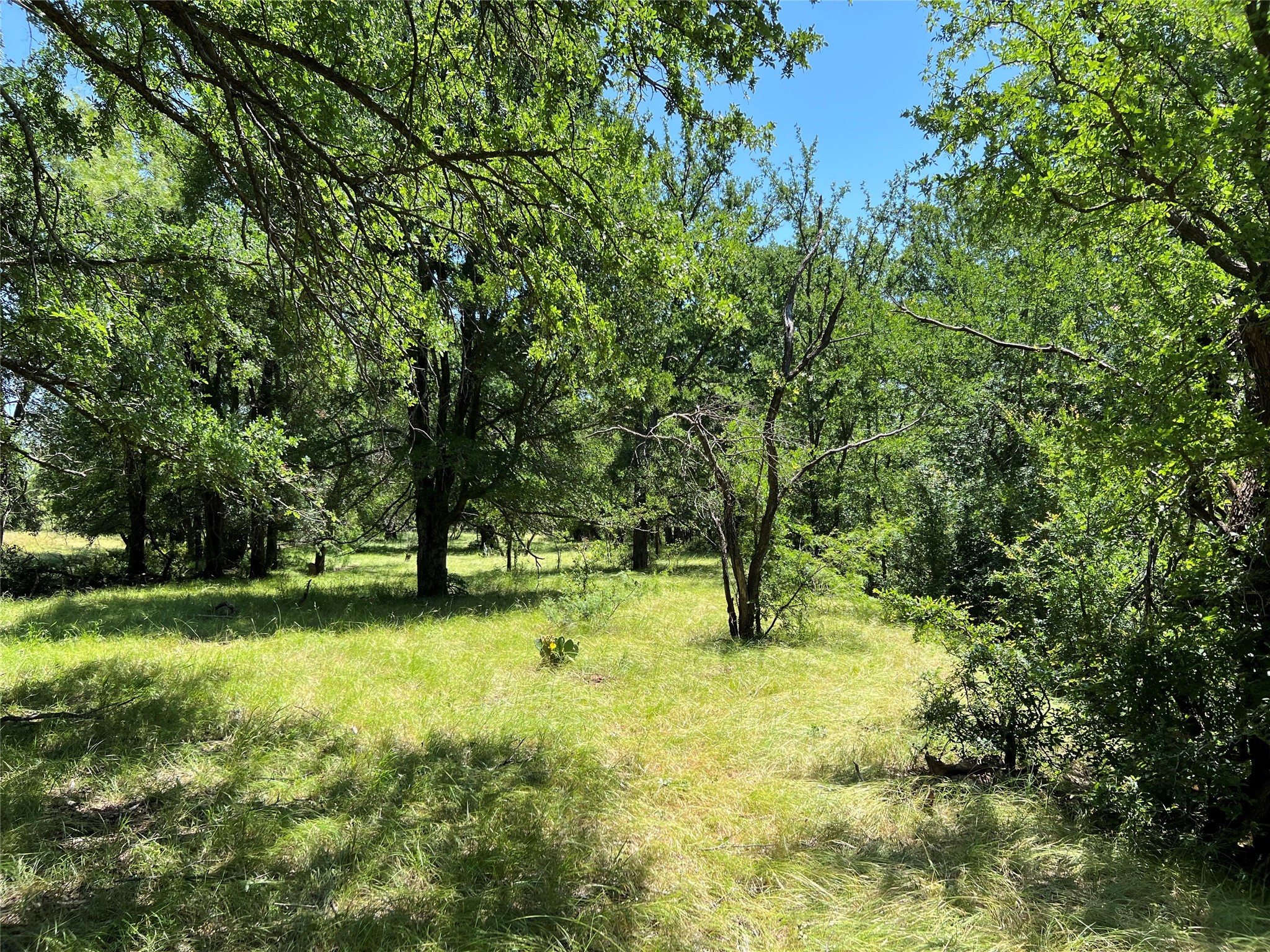 137 Creek Cisco TX 76437