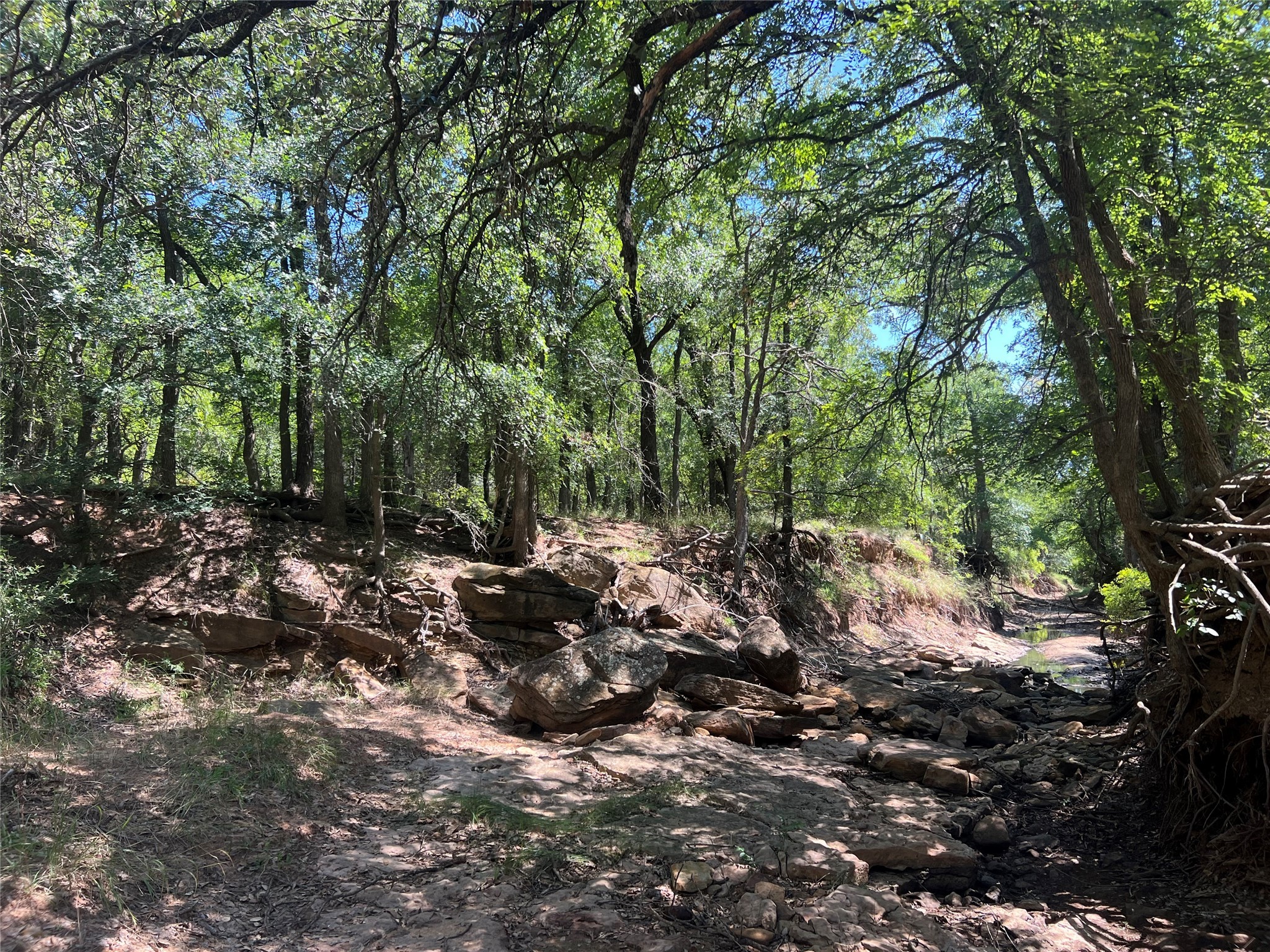 137 Creek Cisco TX 76437