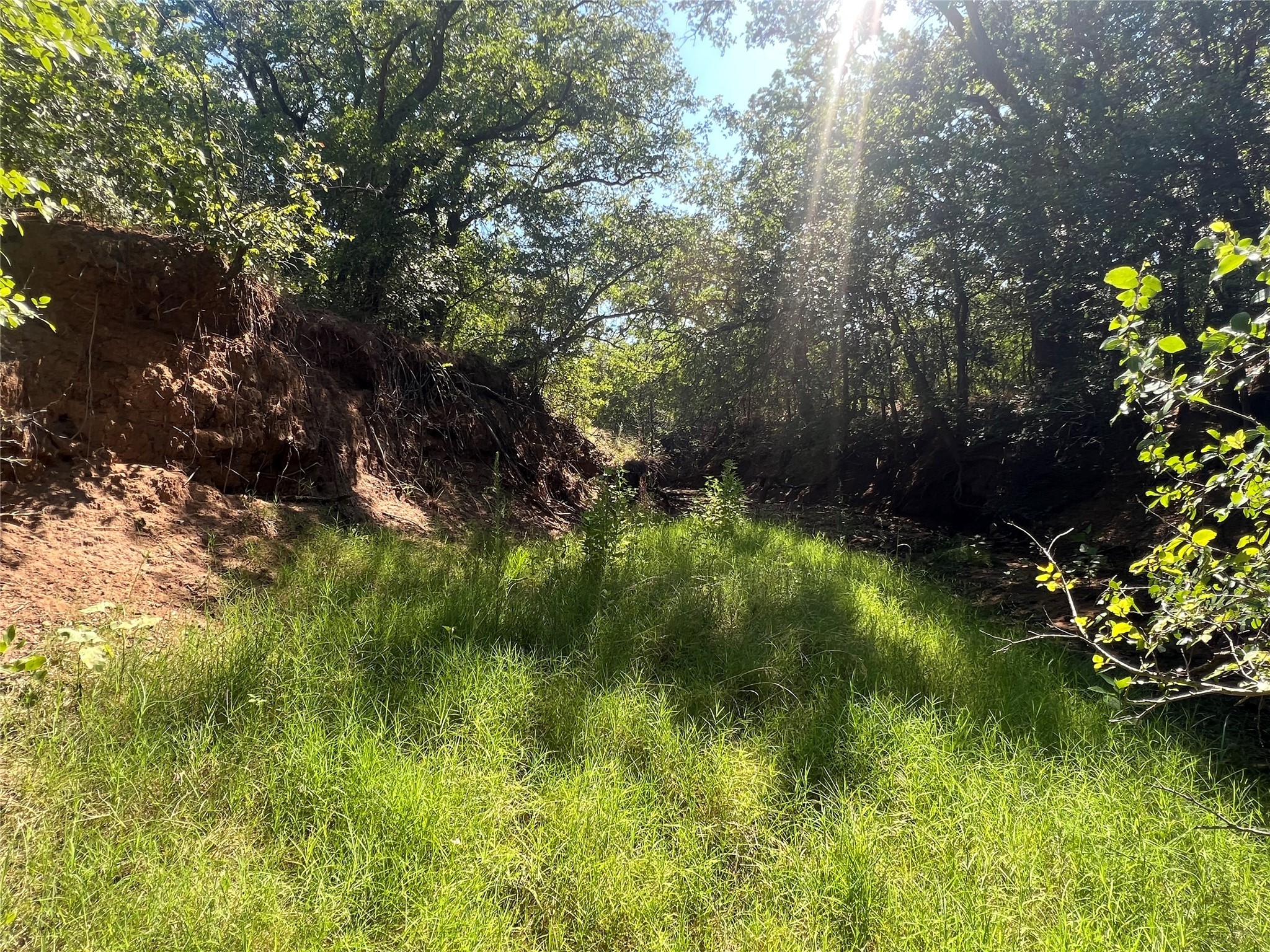 137 Creek Cisco TX 76437