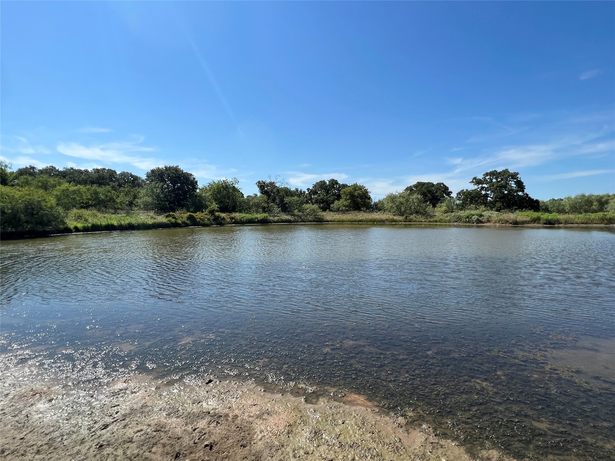 137 Creek Cisco TX 76437