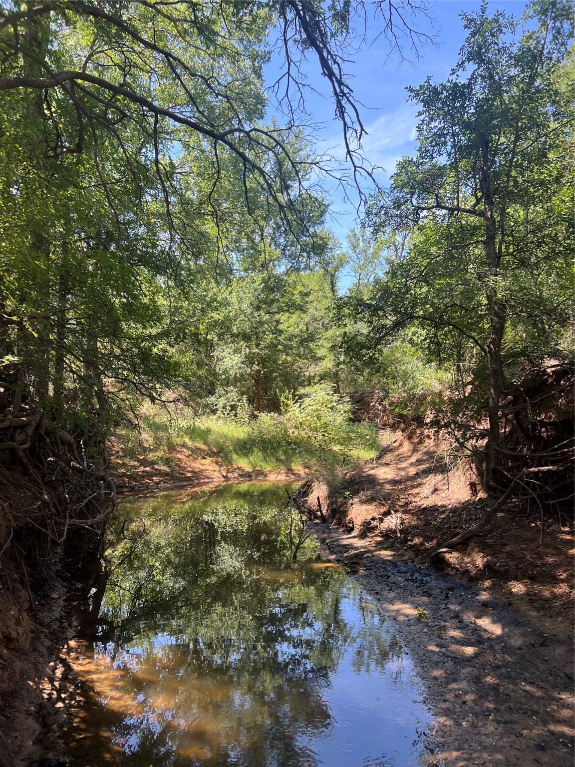137 Creek Cisco TX 76437