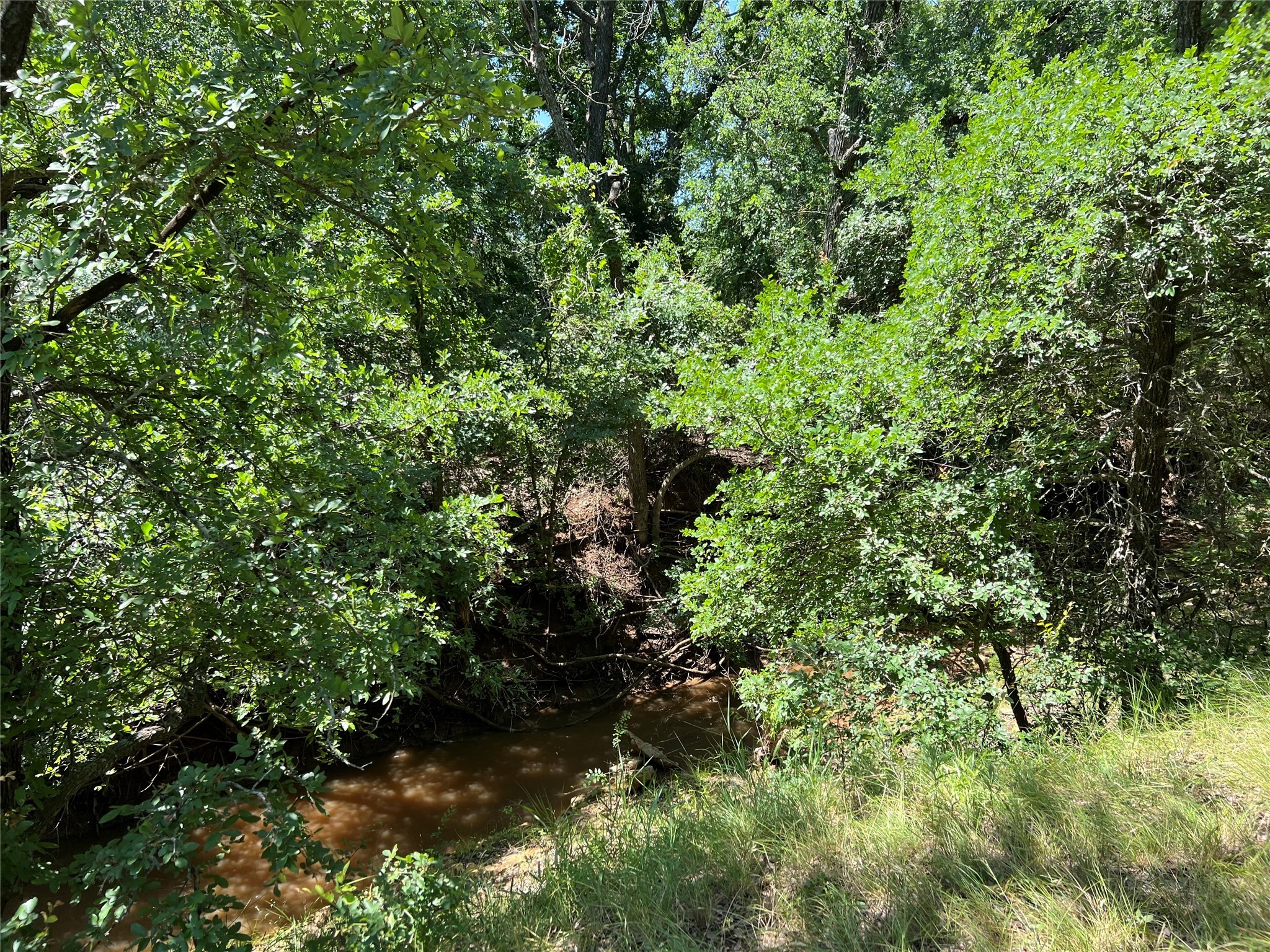 137 Creek Cisco TX 76437
