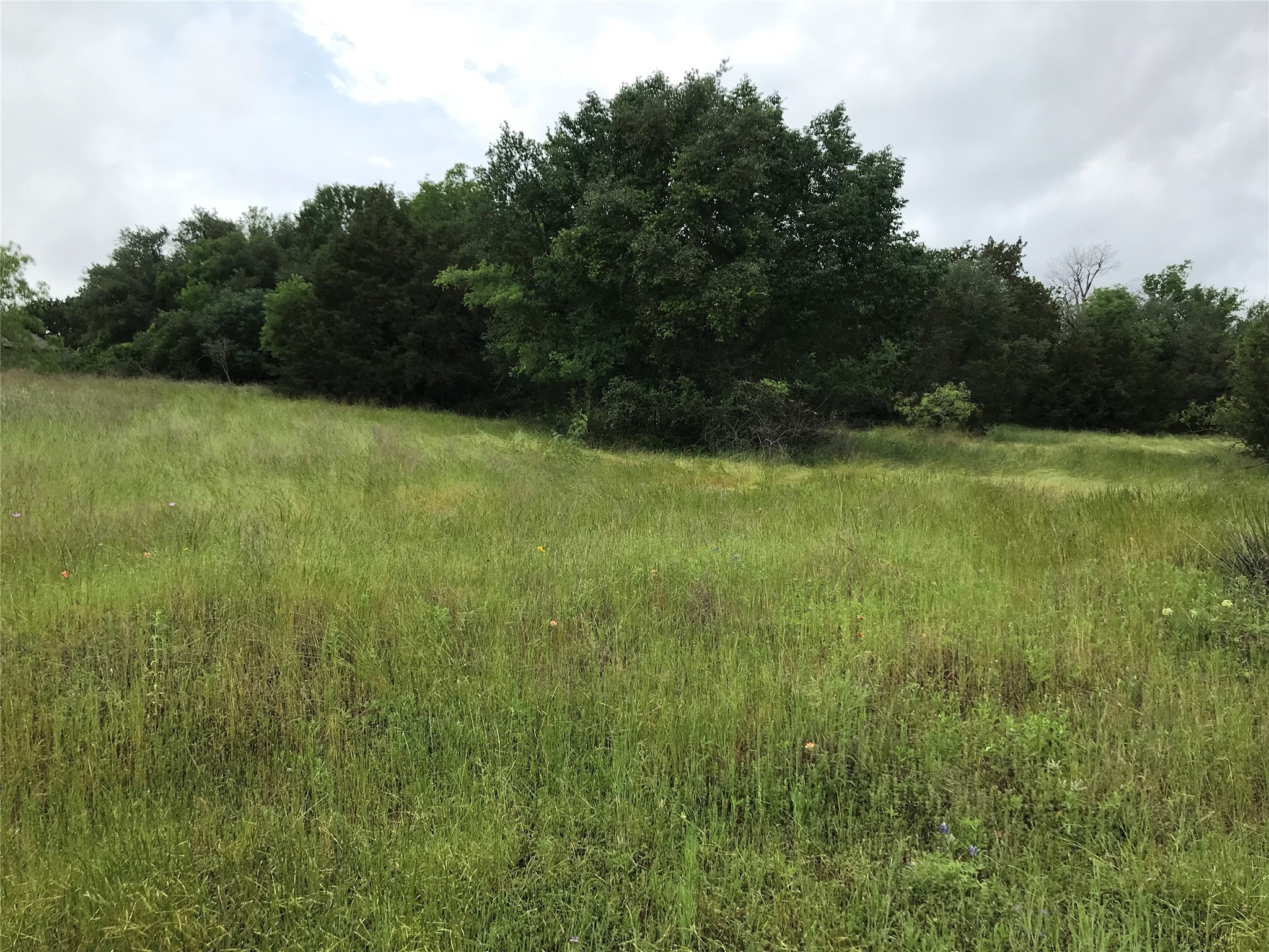 1414 Lakeside Trail Whitney TX 76692