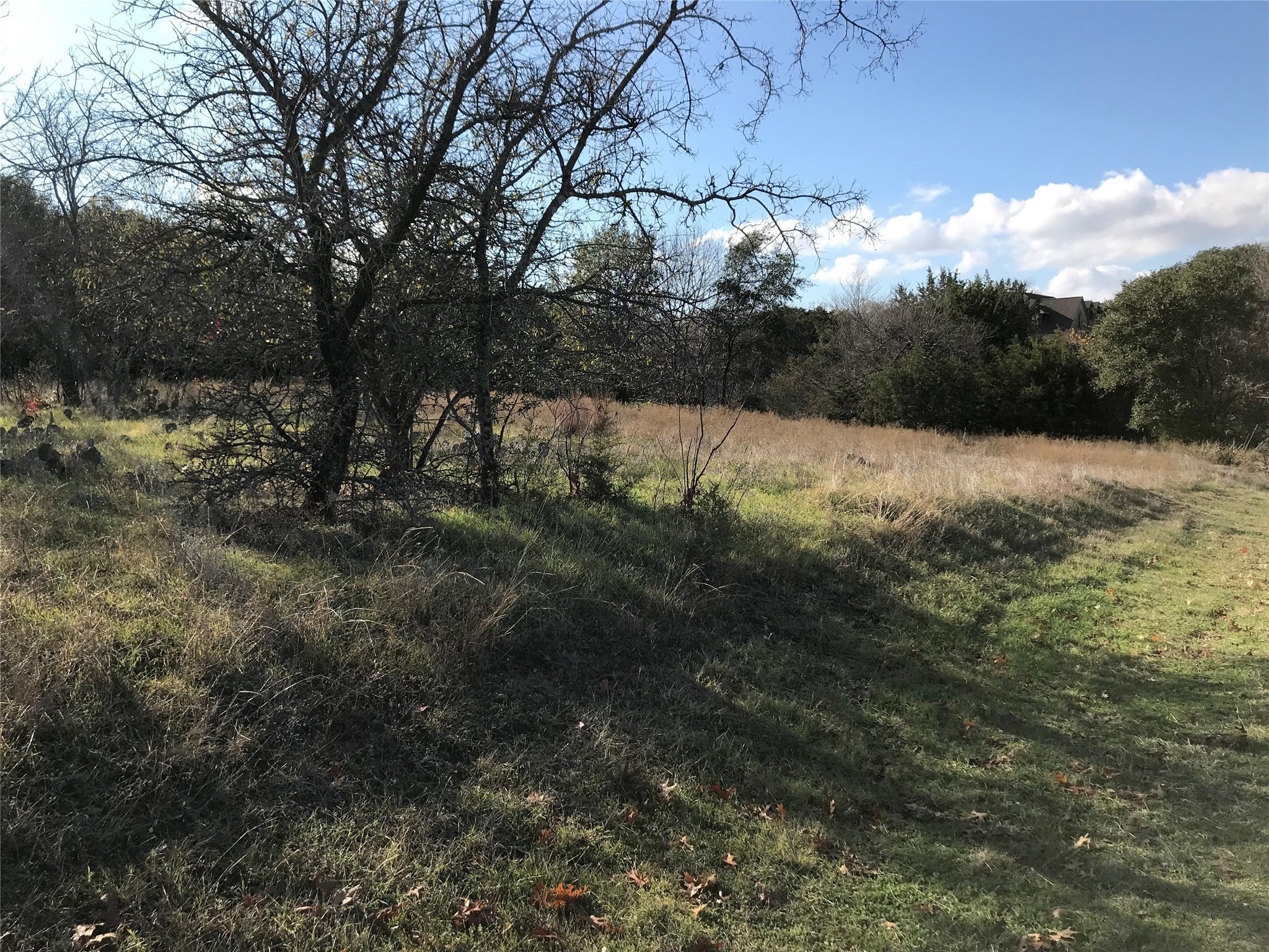 1414 Lakeside Trail Whitney TX 76692