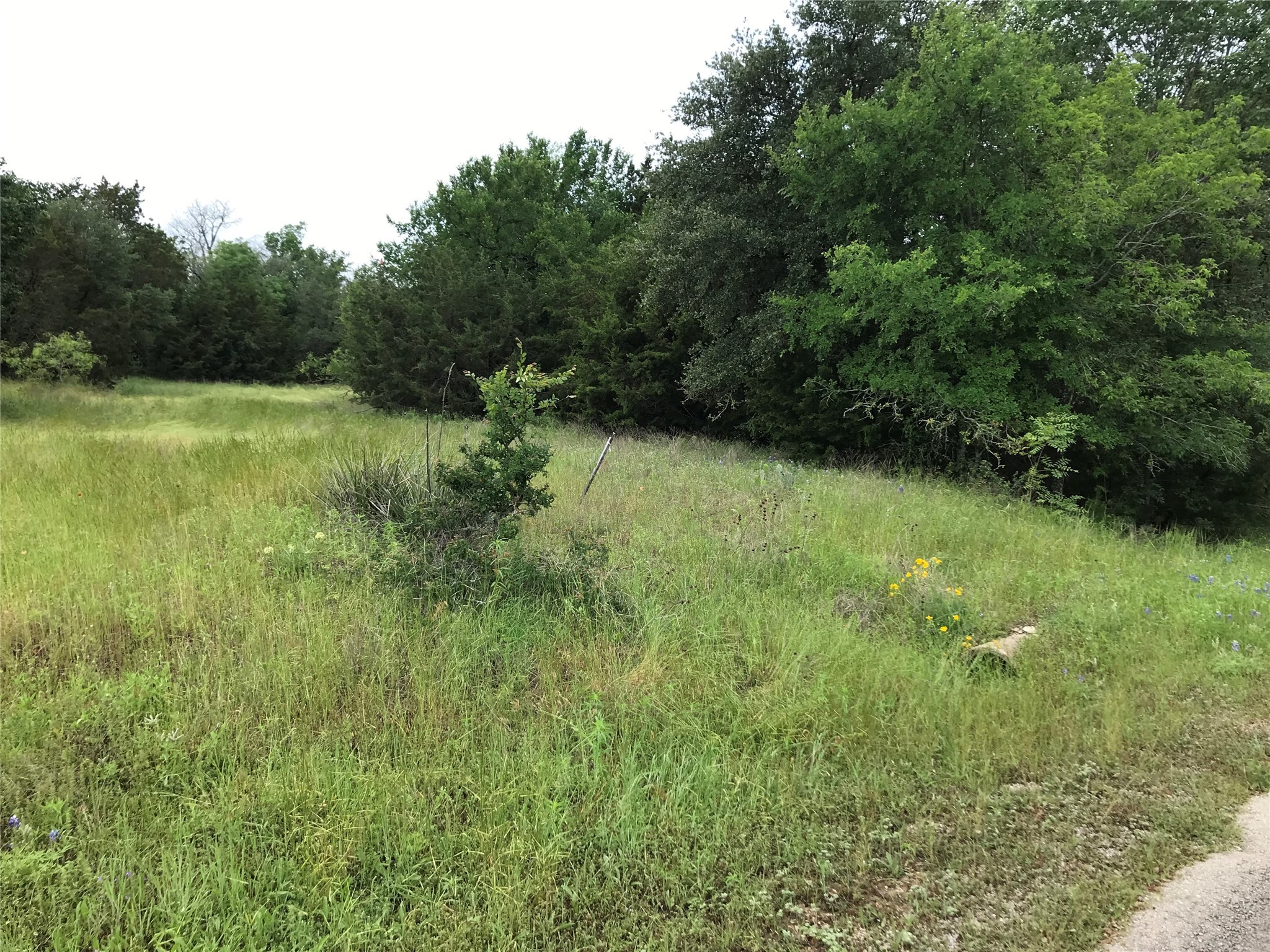 1414 Lakeside Trail Whitney TX 76692