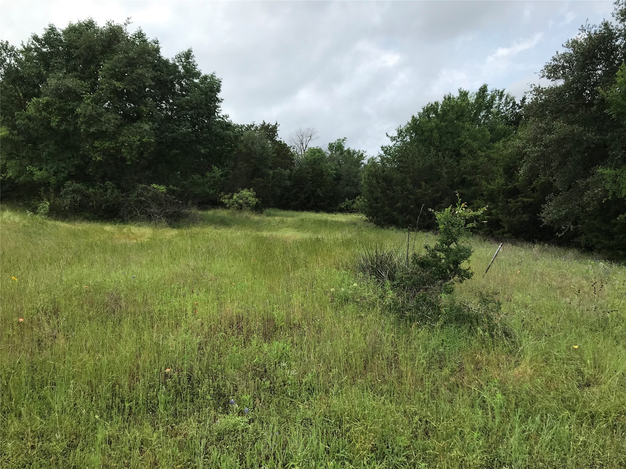 1414 Lakeside Trail Whitney TX 76692