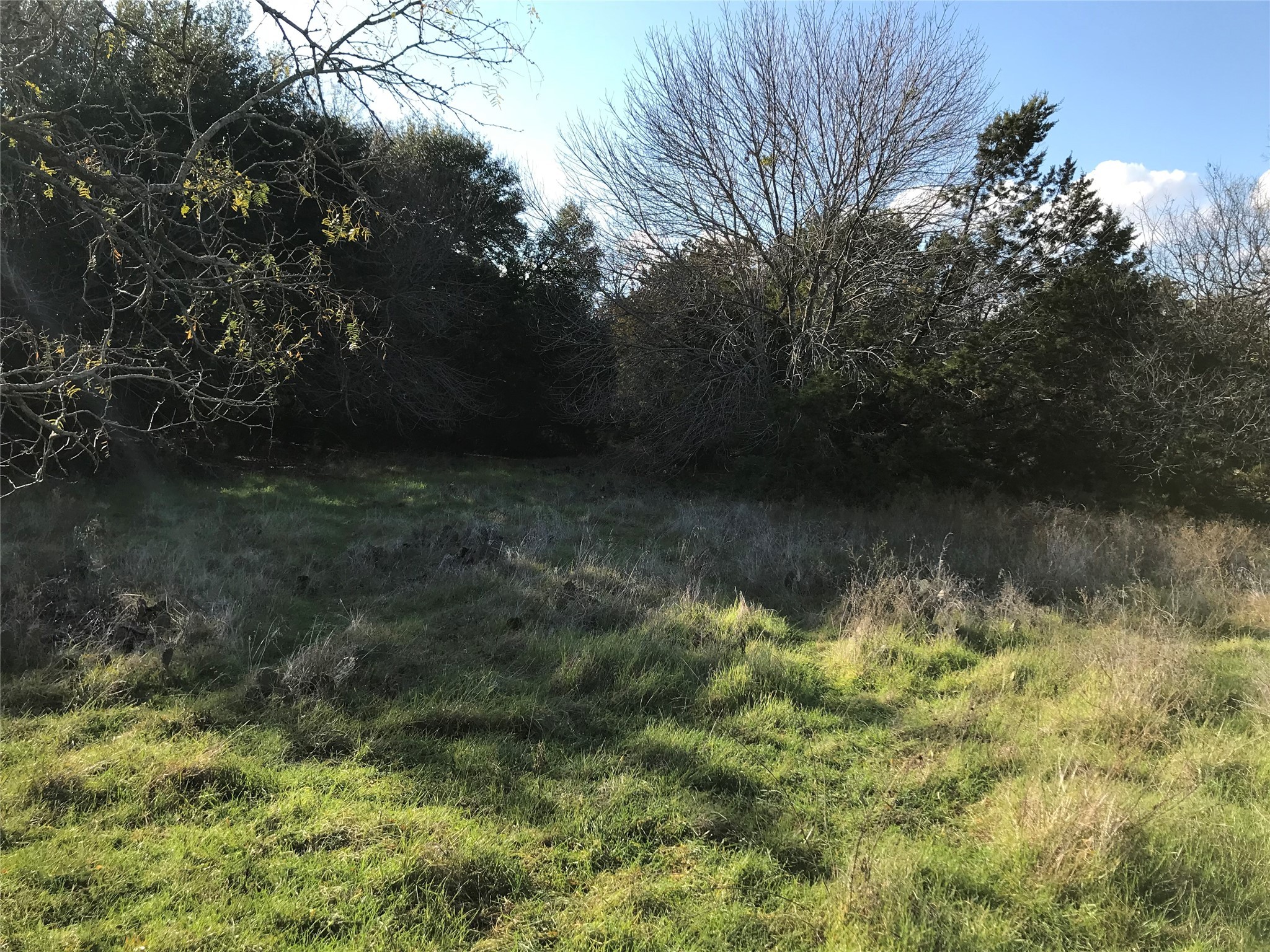 1414 Lakeside Trail Whitney TX 76692