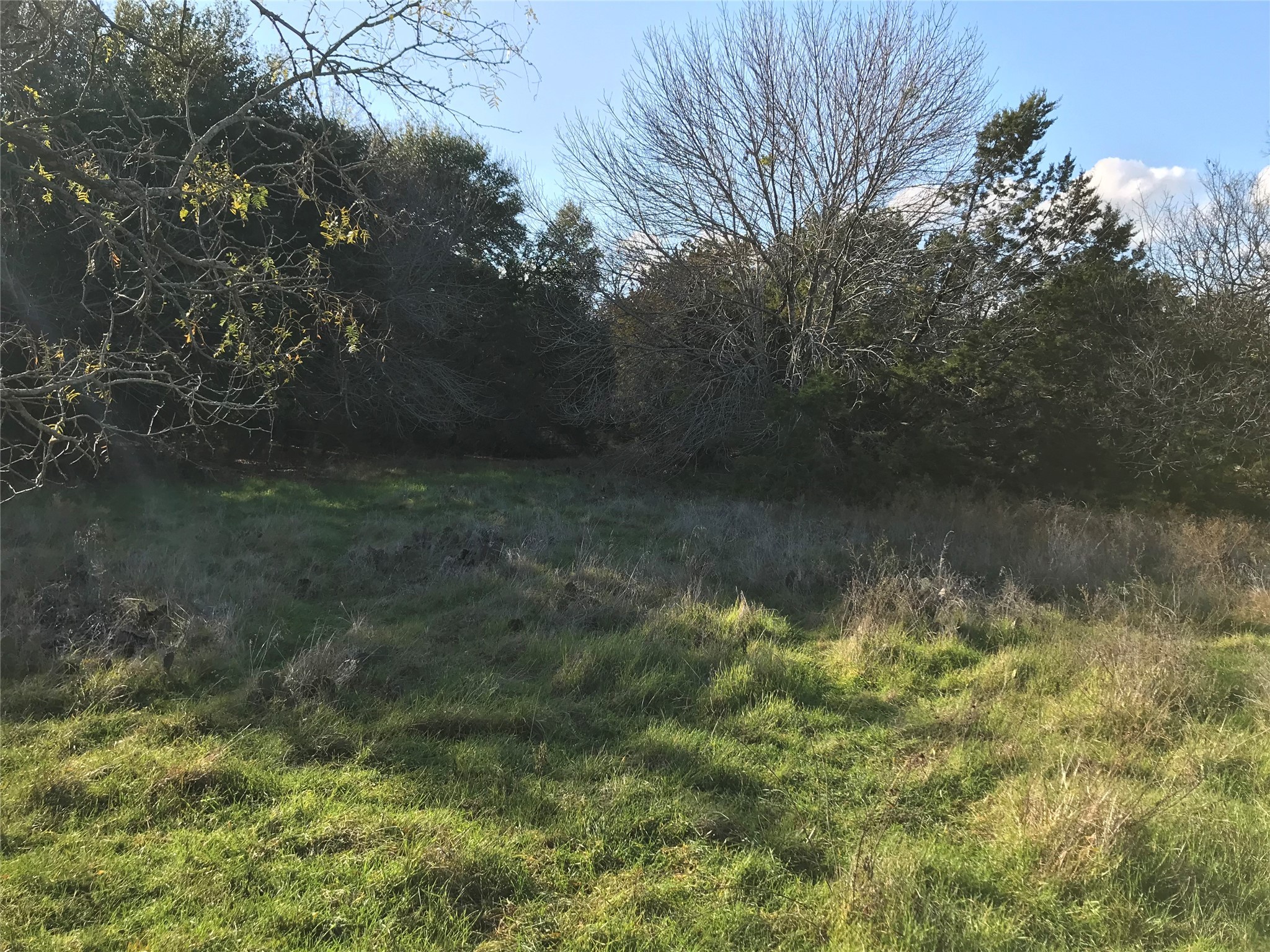 1414 Lakeside Trail Whitney TX 76692