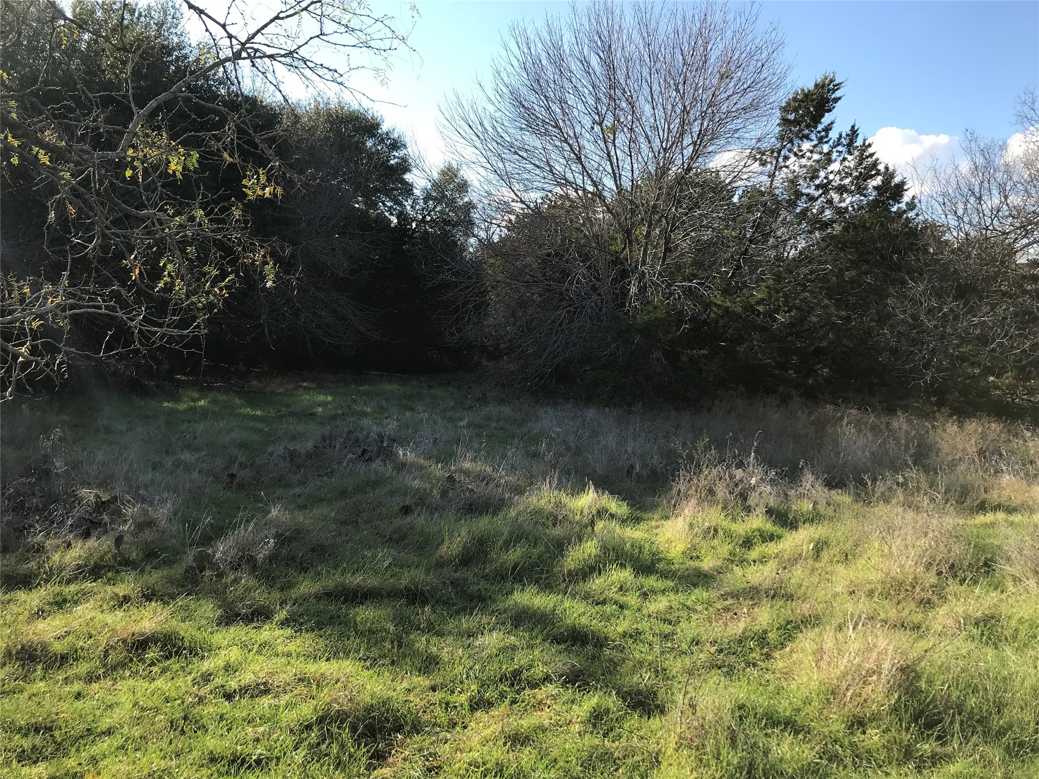 1414 Lakeside Trail Whitney TX 76692