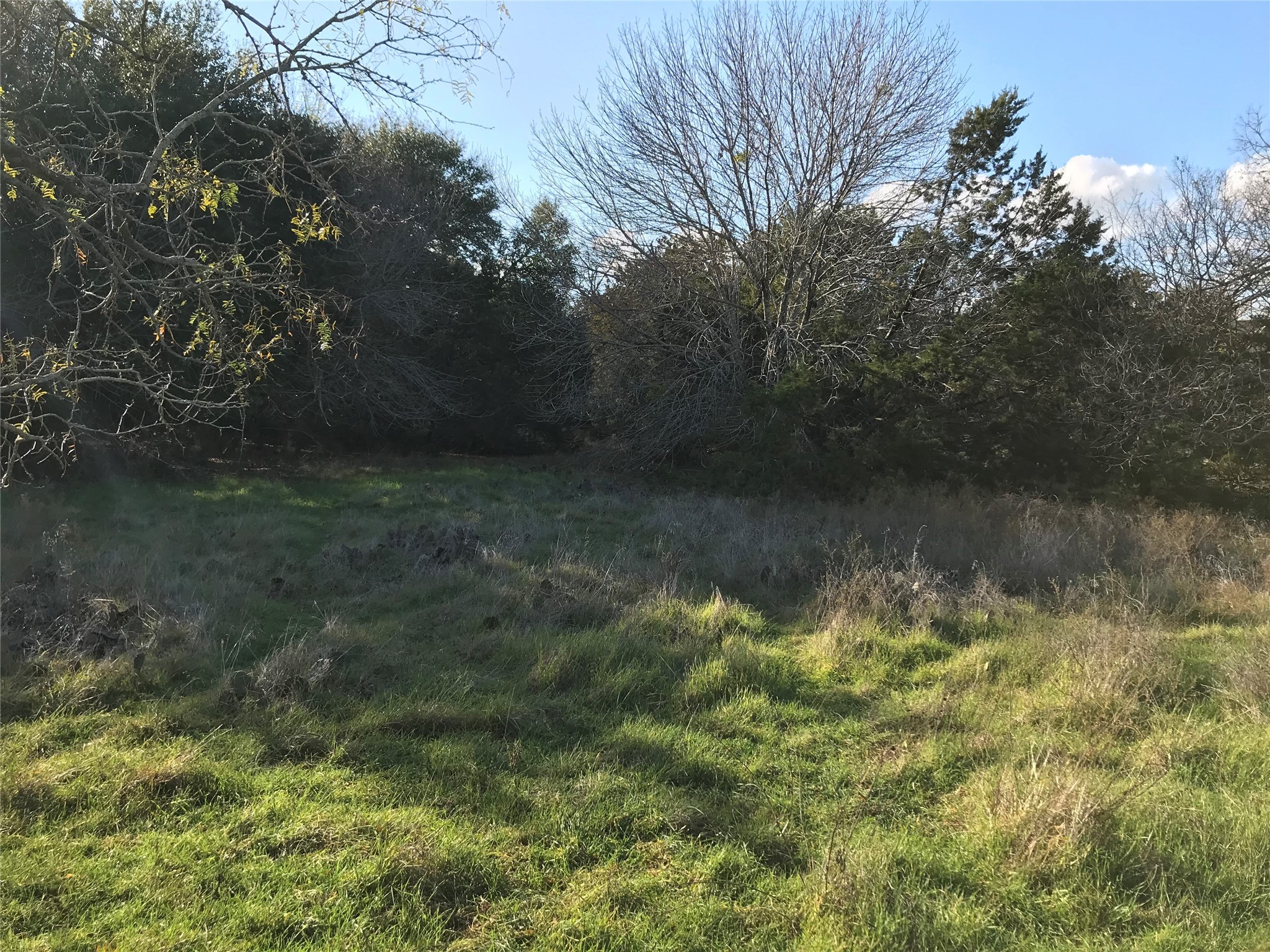 1414 Lakeside Trail Whitney TX 76692