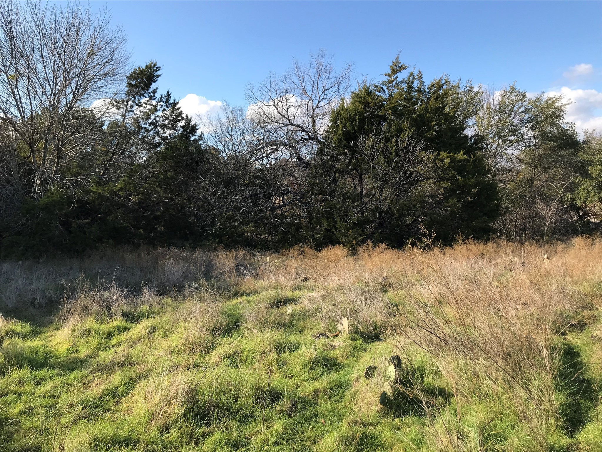 1414 Lakeside Trail Whitney TX 76692