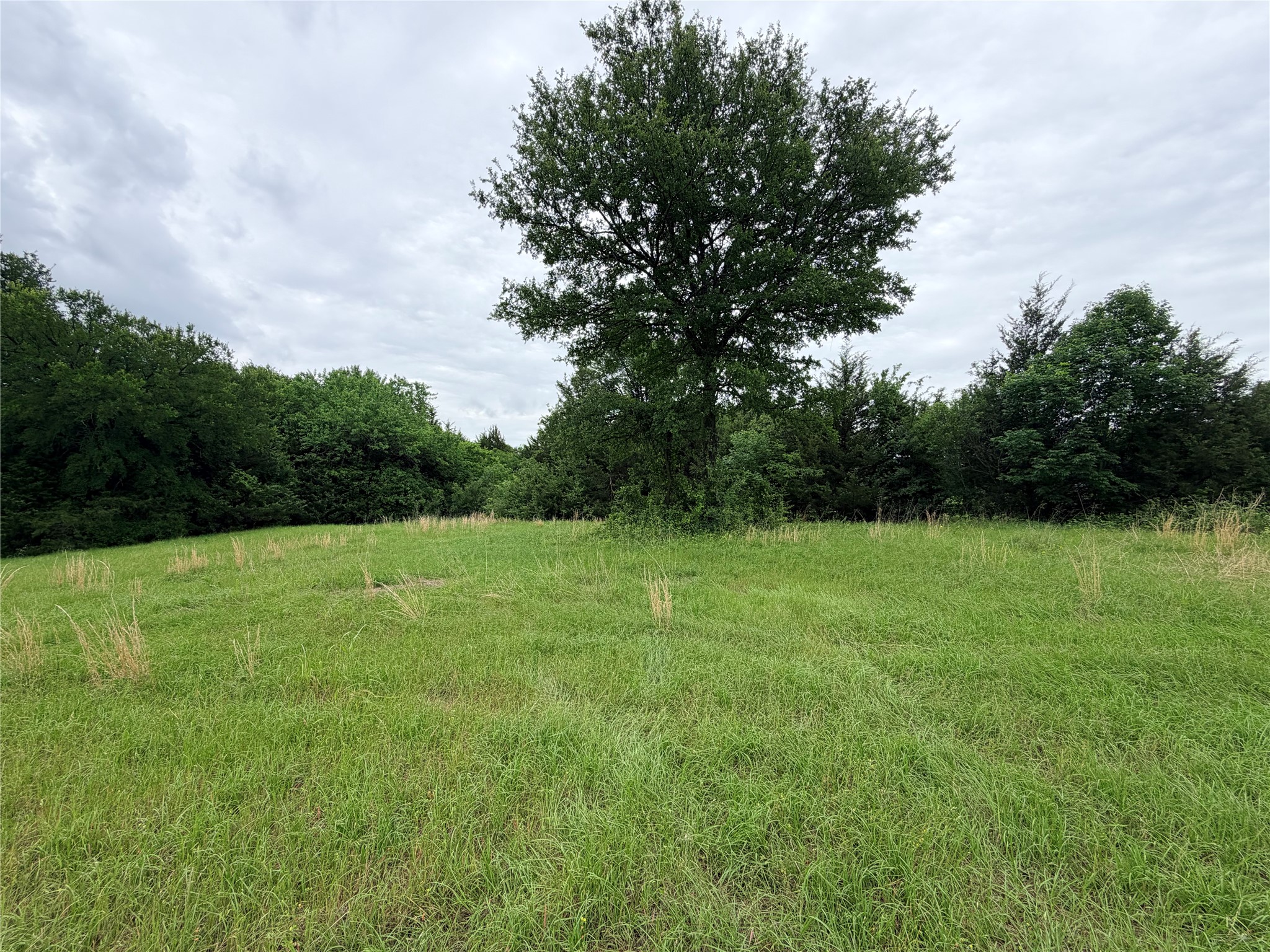 3.269 Acres Highway 289 Pottsboro TX 75076