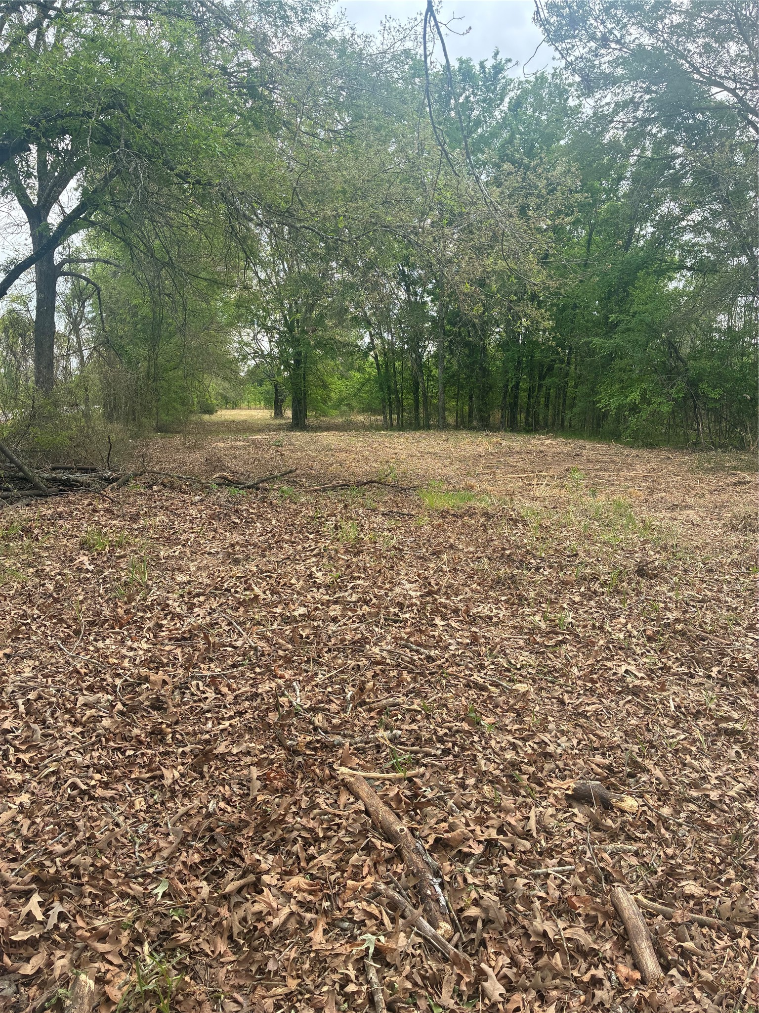 1050 Highway 37 Talco TX 75487
