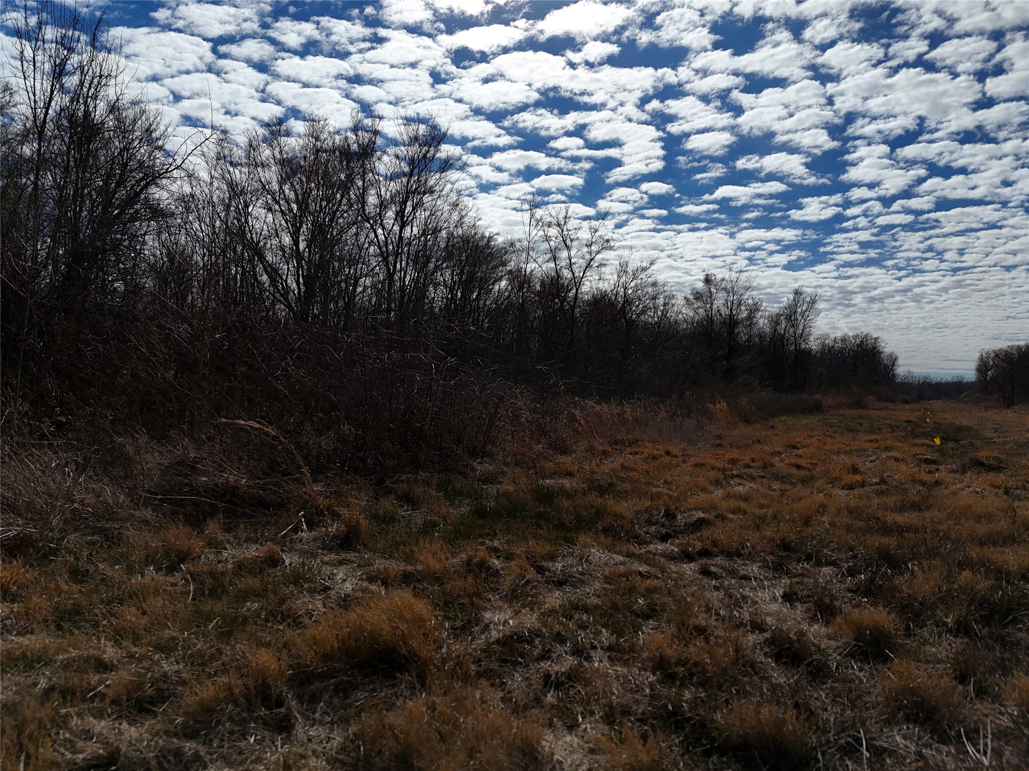 1050 Highway 37 Talco TX 75487
