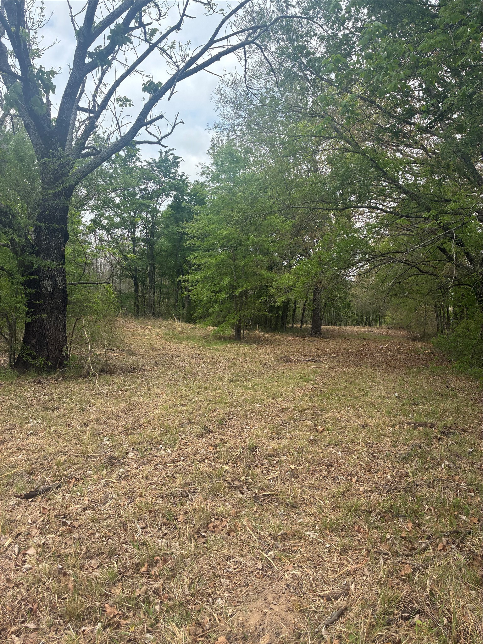 1050 Highway 37 Talco TX 75487