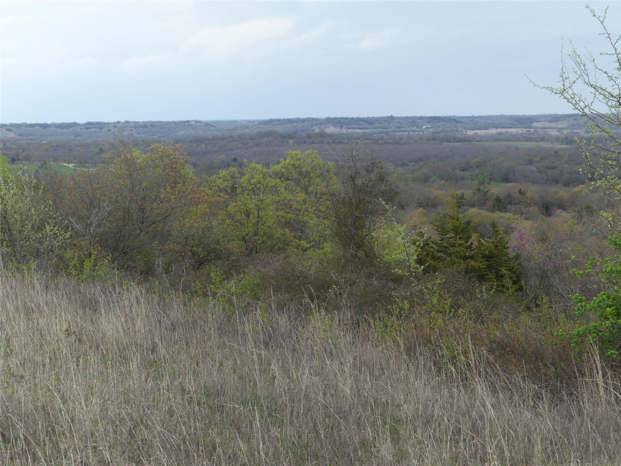 Tbd Dye Mound Road Forestburg TX 76239