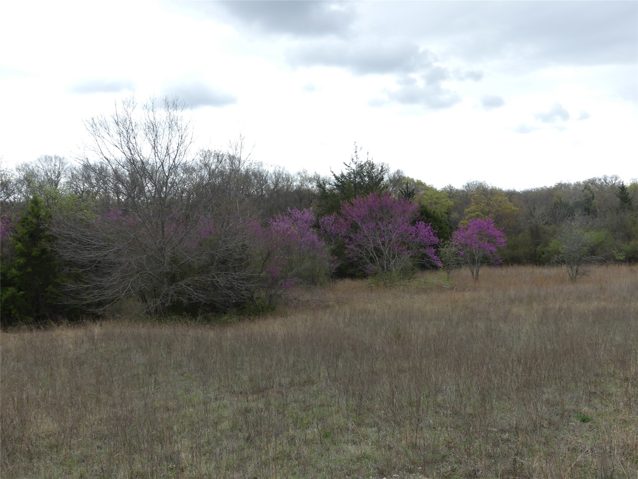 Tbd Dye Mound Road Forestburg TX 76239